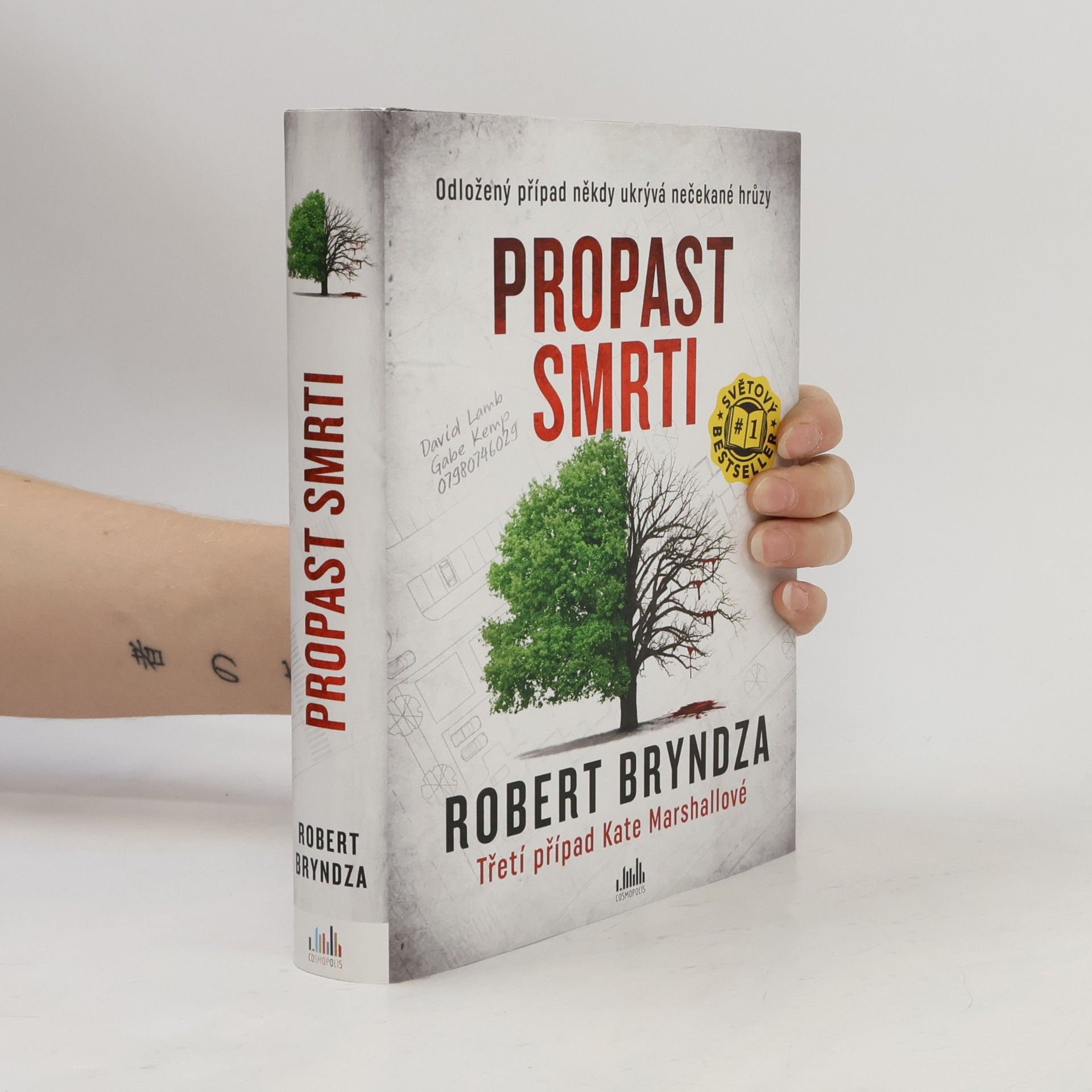 Robert Bryndza Propast smrti