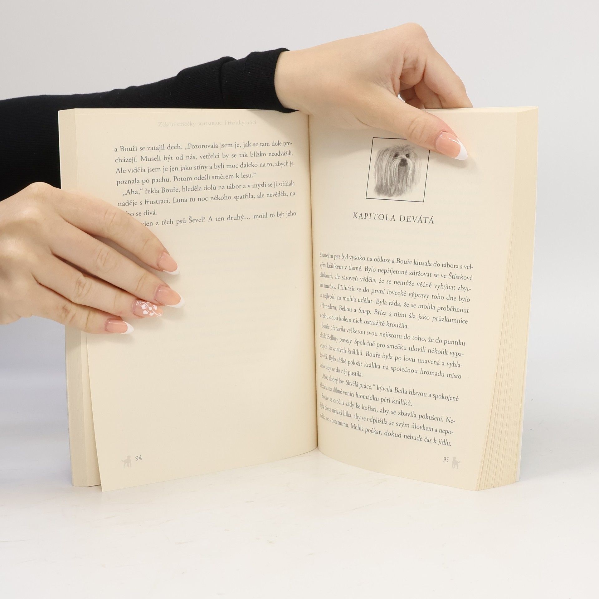 Erin Hunter Soumrak. Zákon smečky 2. Přízraky noci