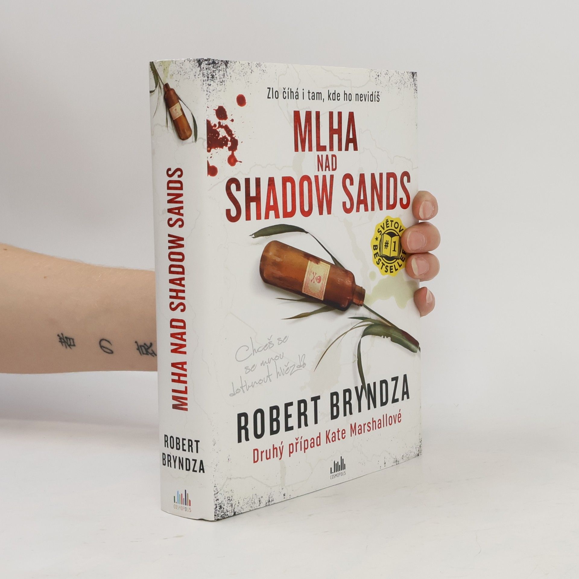 Robert Bryndza Mlha nad Shadow Sands