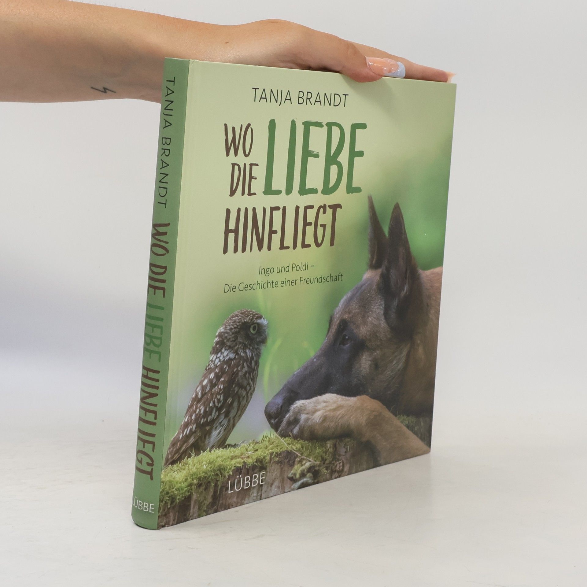Tanja Brandt Wo die Liebe hinfliegt