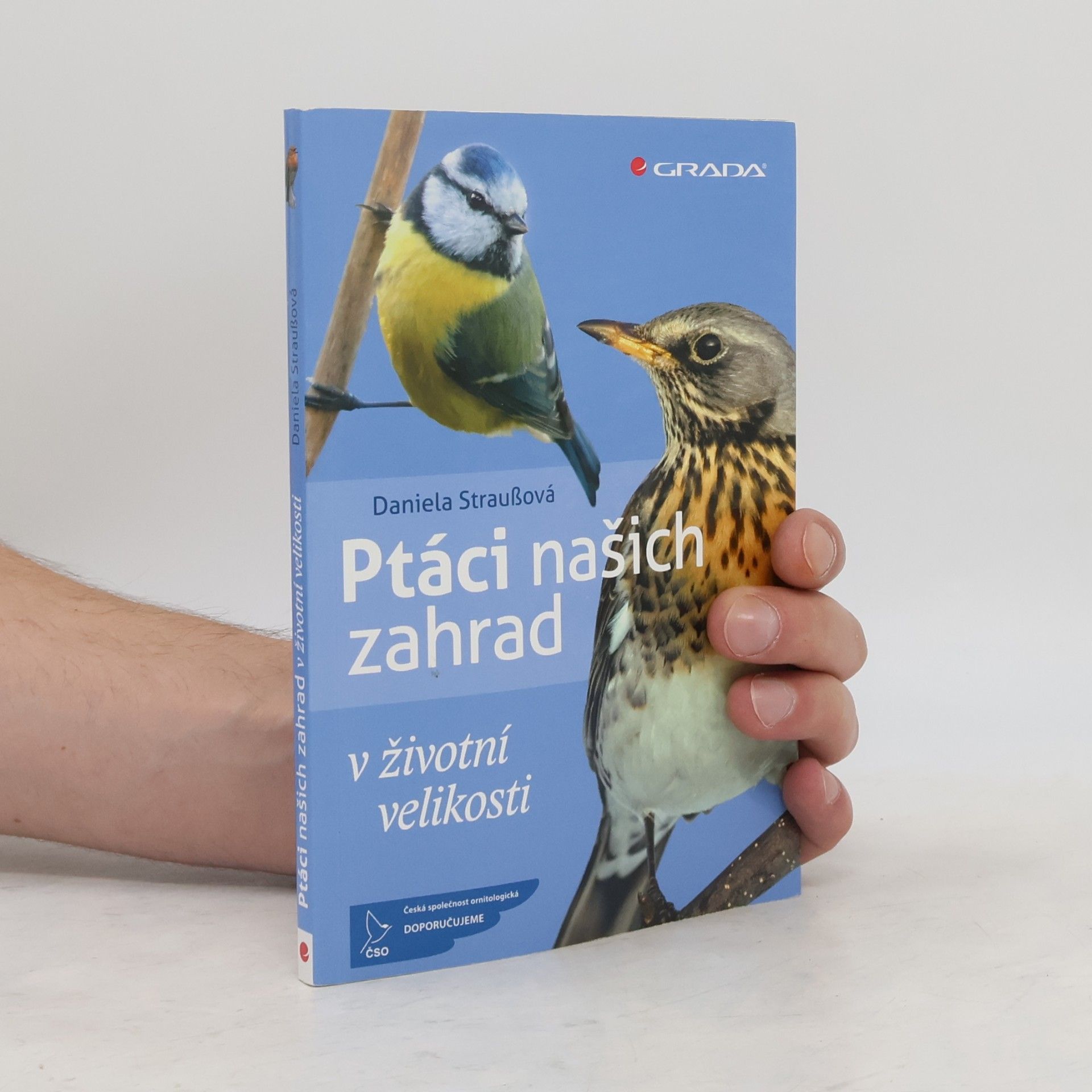 Daniela Strauß Ptáci našich zahrad : v životní velikosti
