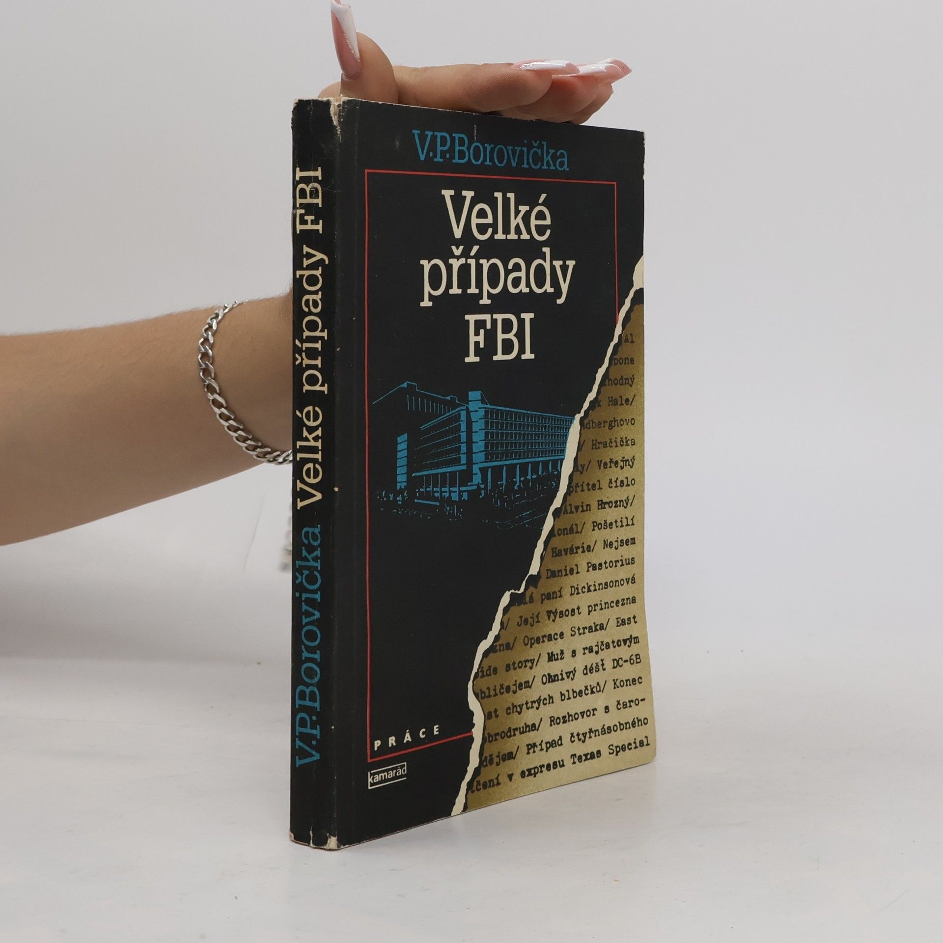 Velké případy FBI