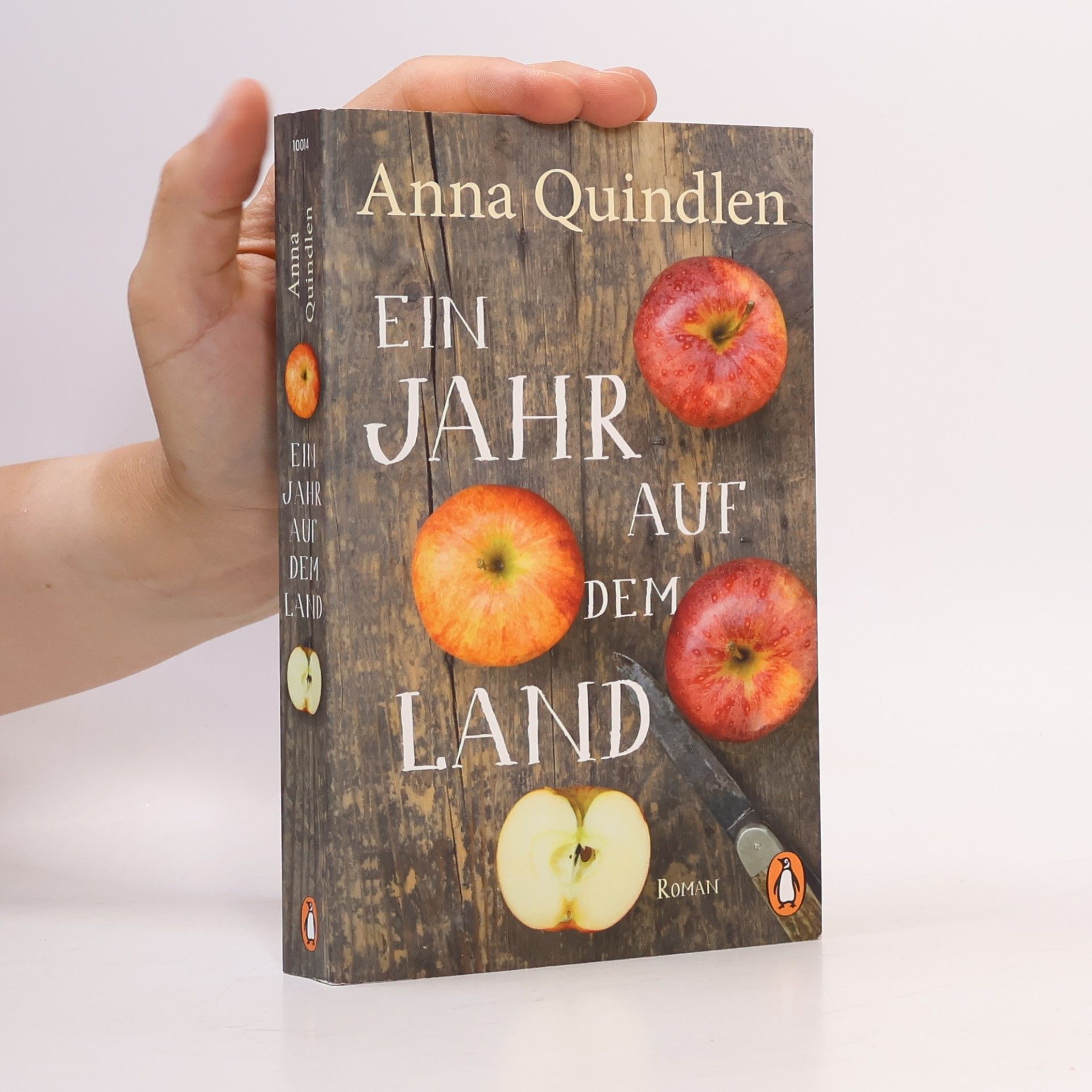Anna Quindlen Ein Jahr auf dem Land