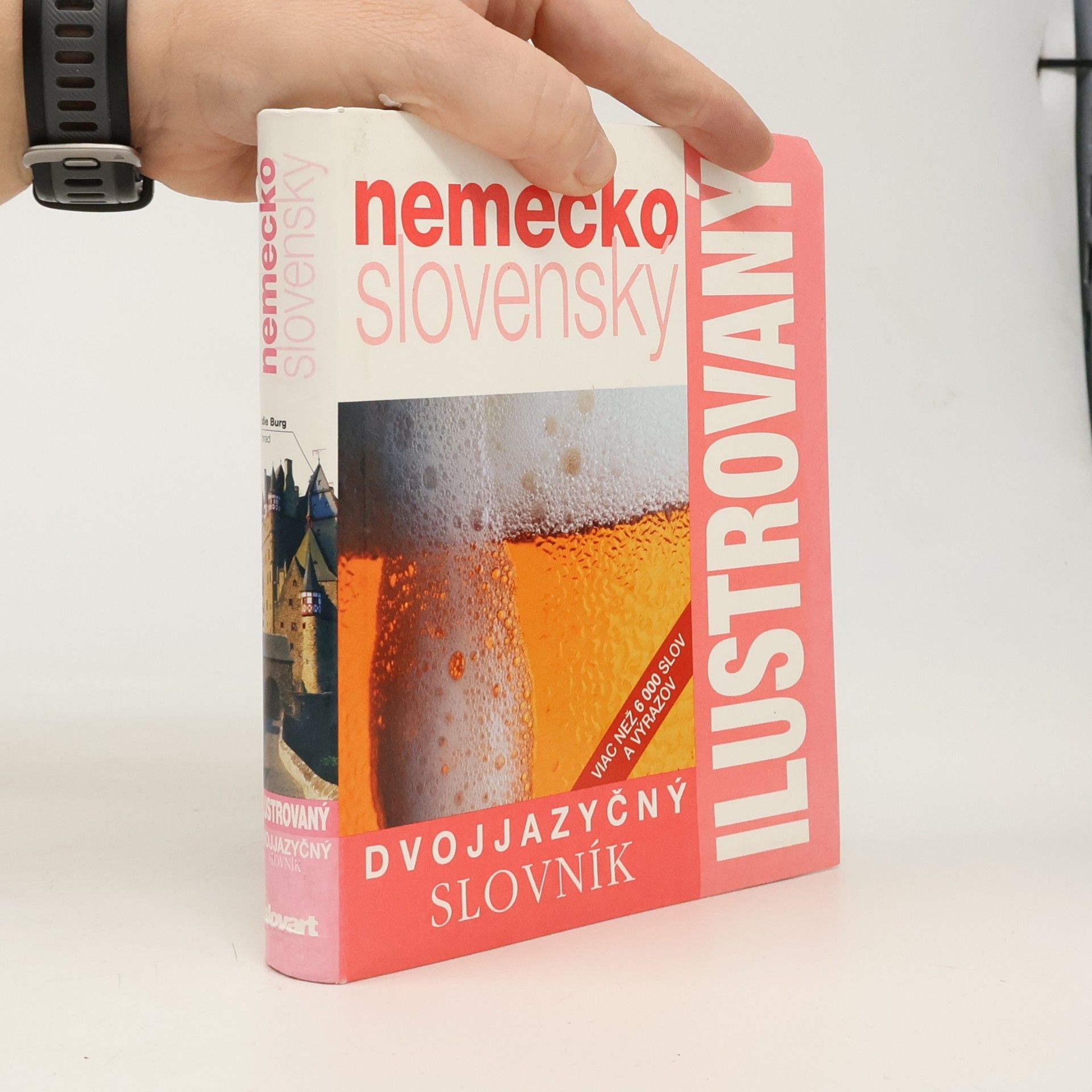 Autorenkollektiv Dvojjazyčný nemecko slovenský ilustrovaný slovník