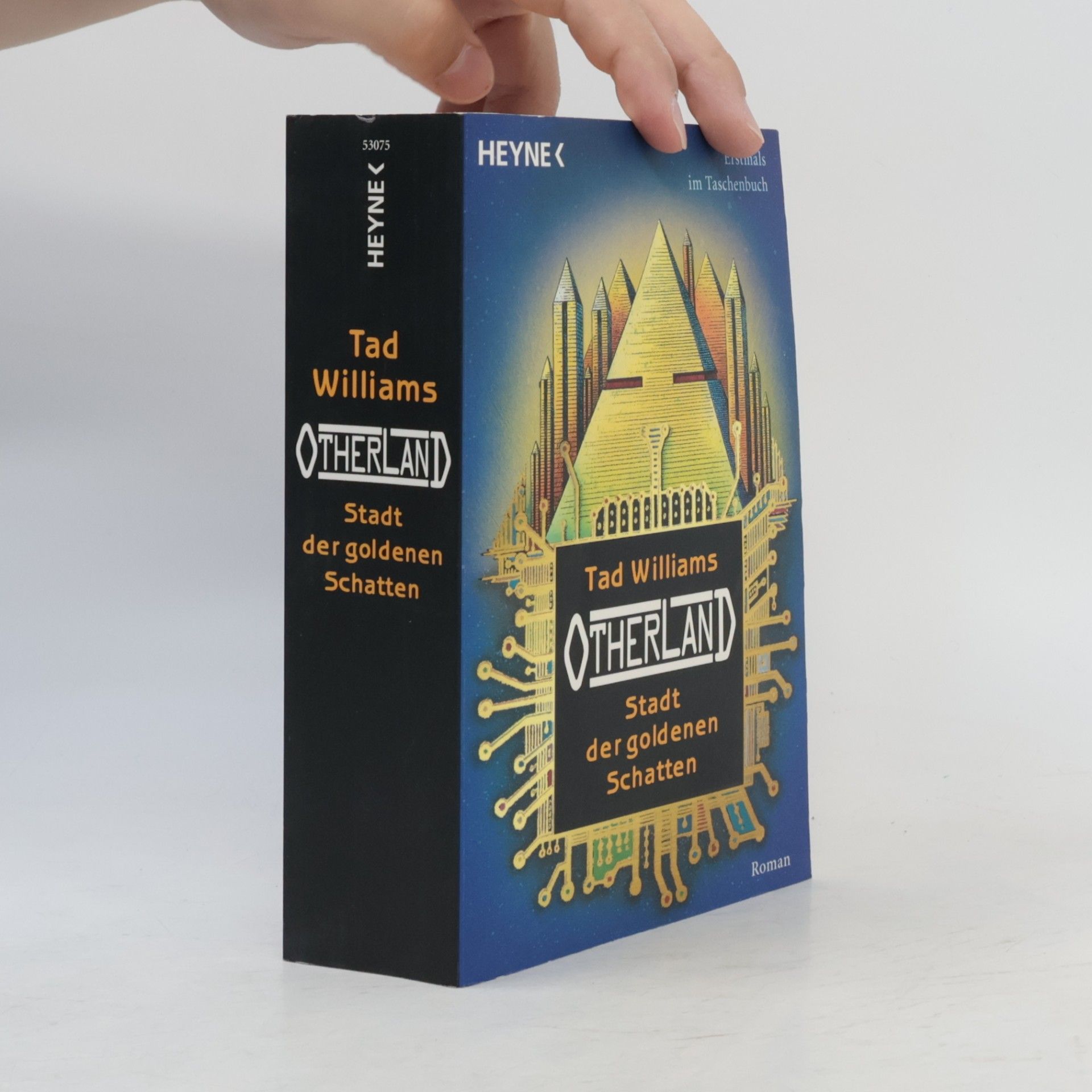 Tad Williams Otherland 1