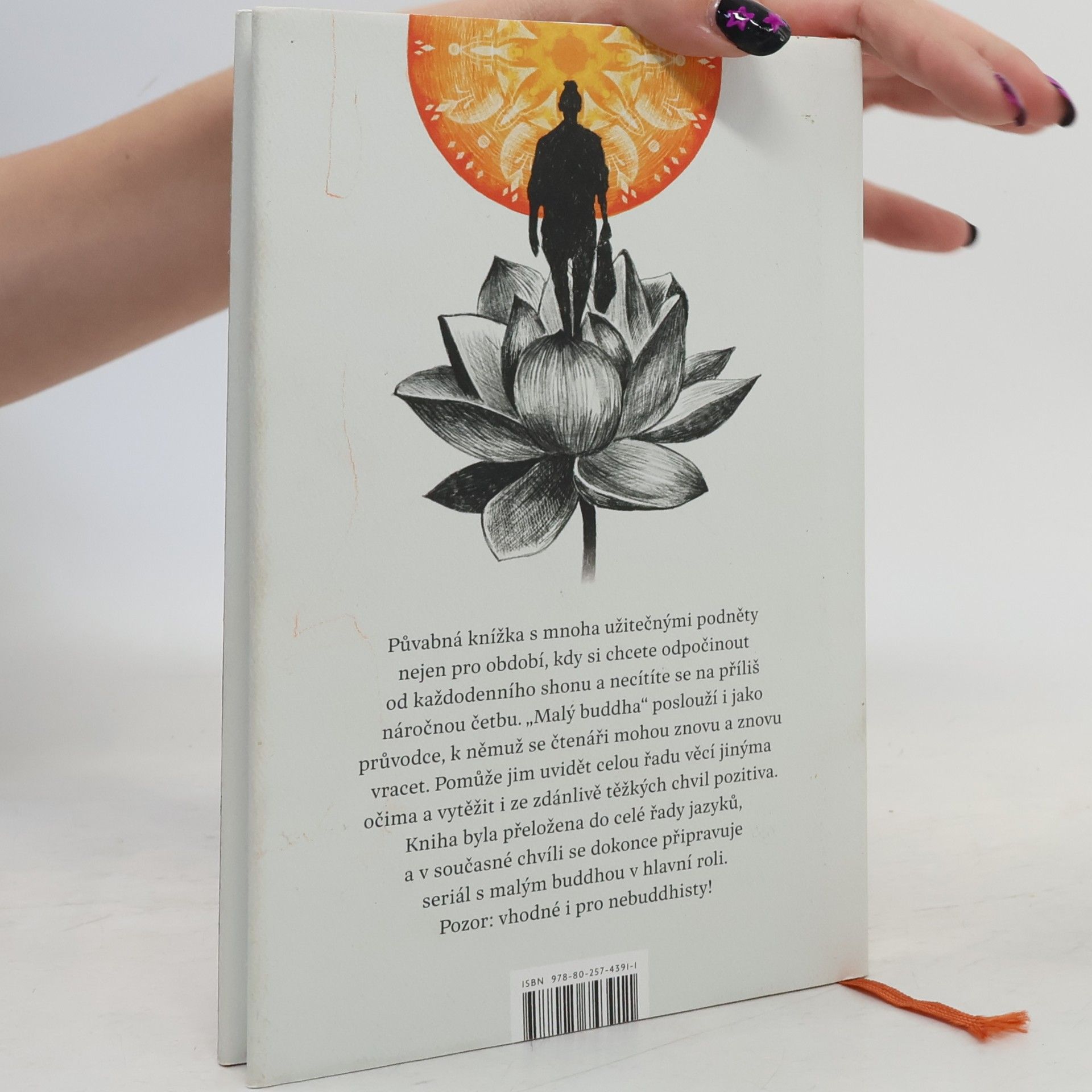 Michaela Škultéty Malý Buddha. Cesta za štěstím
