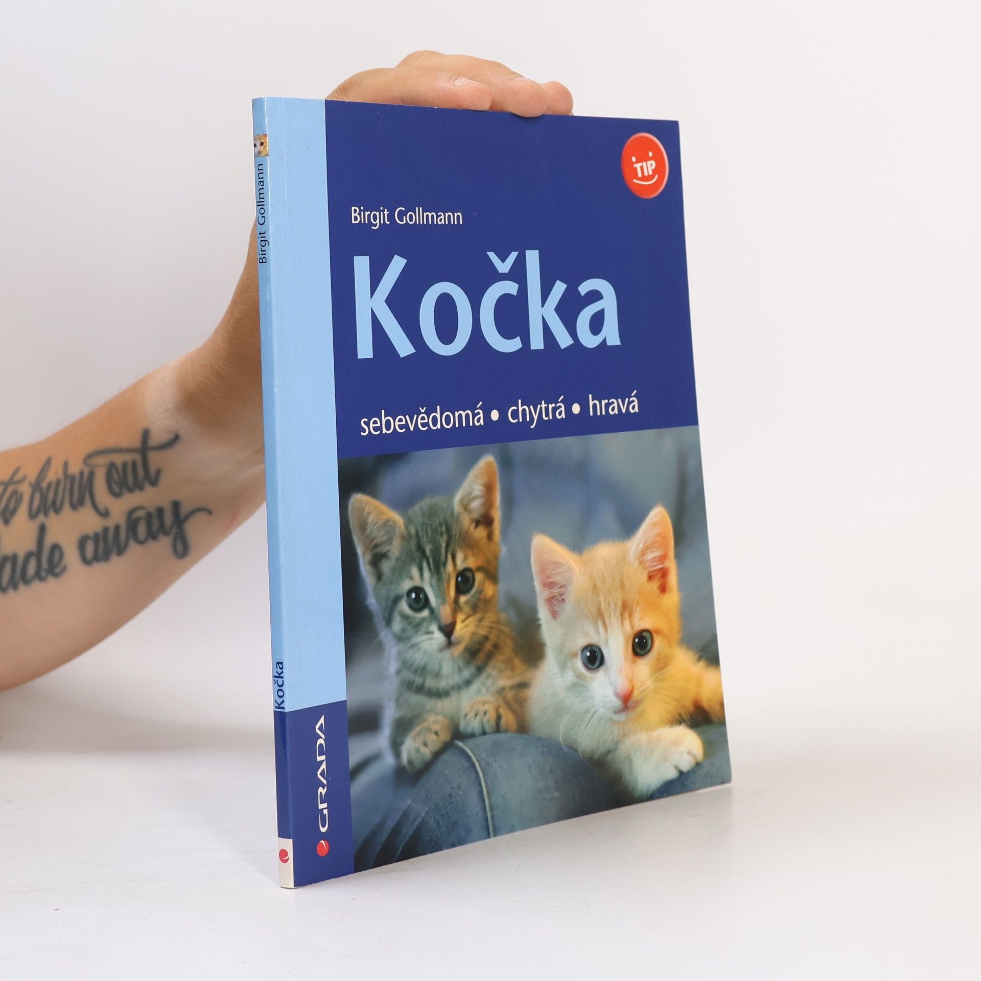 Birgit Gollmann Kočka - sebevědomá, chytrá, hravá