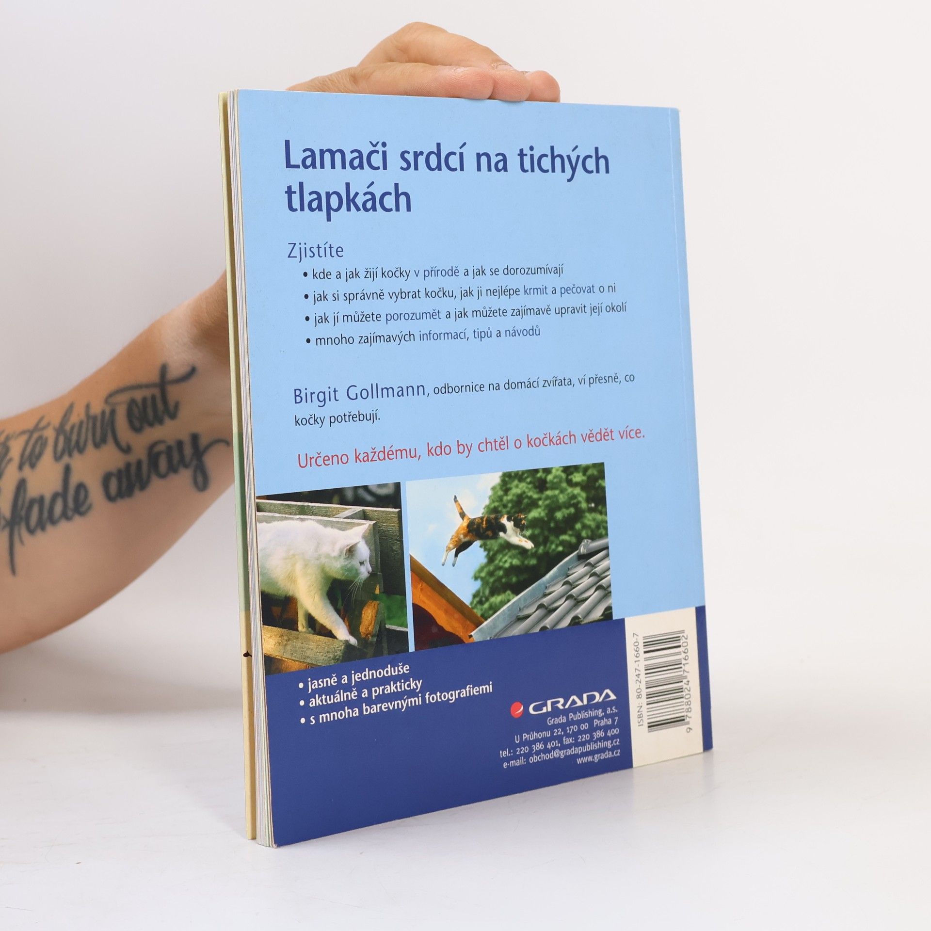 Birgit Gollmann Kočka - sebevědomá, chytrá, hravá