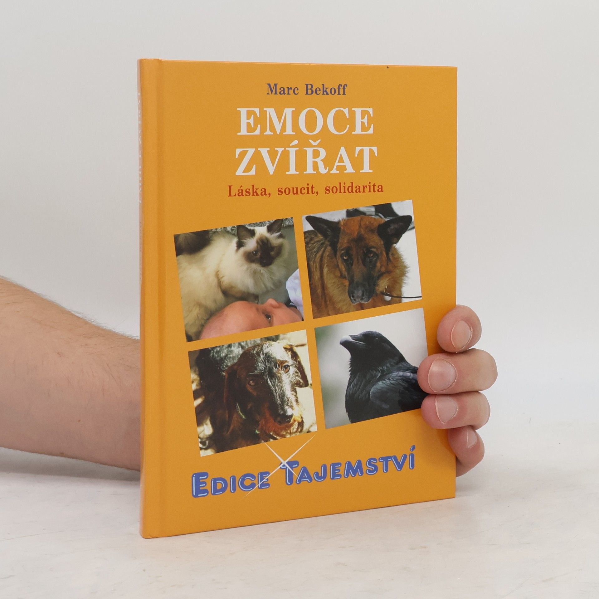 Emoce zvířat