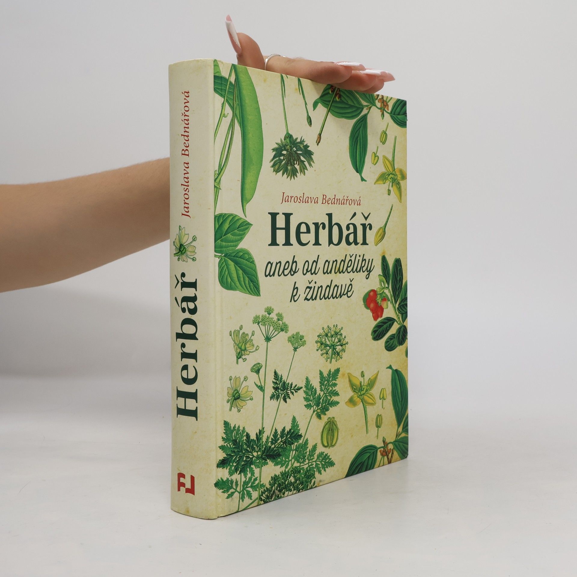 Herbář, aneb, Od anděliky k žindavě