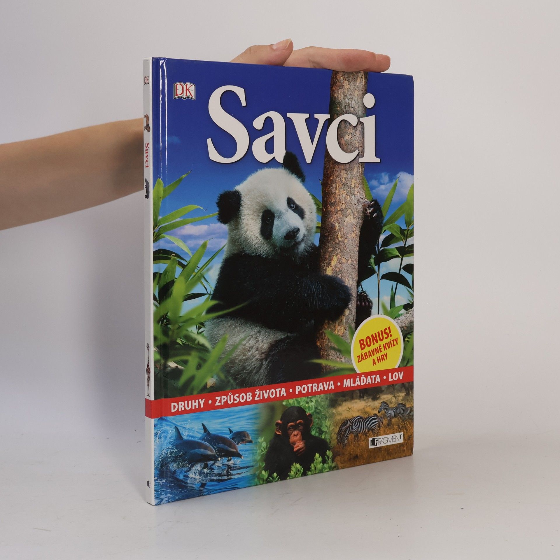 Michael Fokt Savci