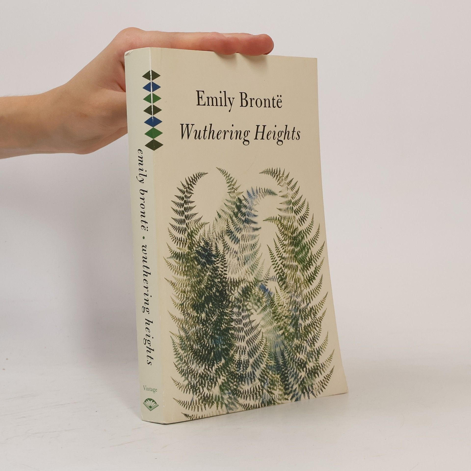 Emily Brontë Wuthering Heights
