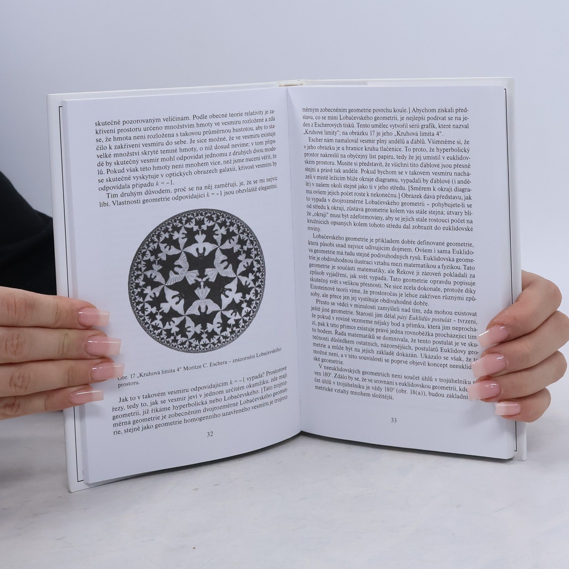 Roger Penrose Makrosvět, mikrosvět a lidská mysl