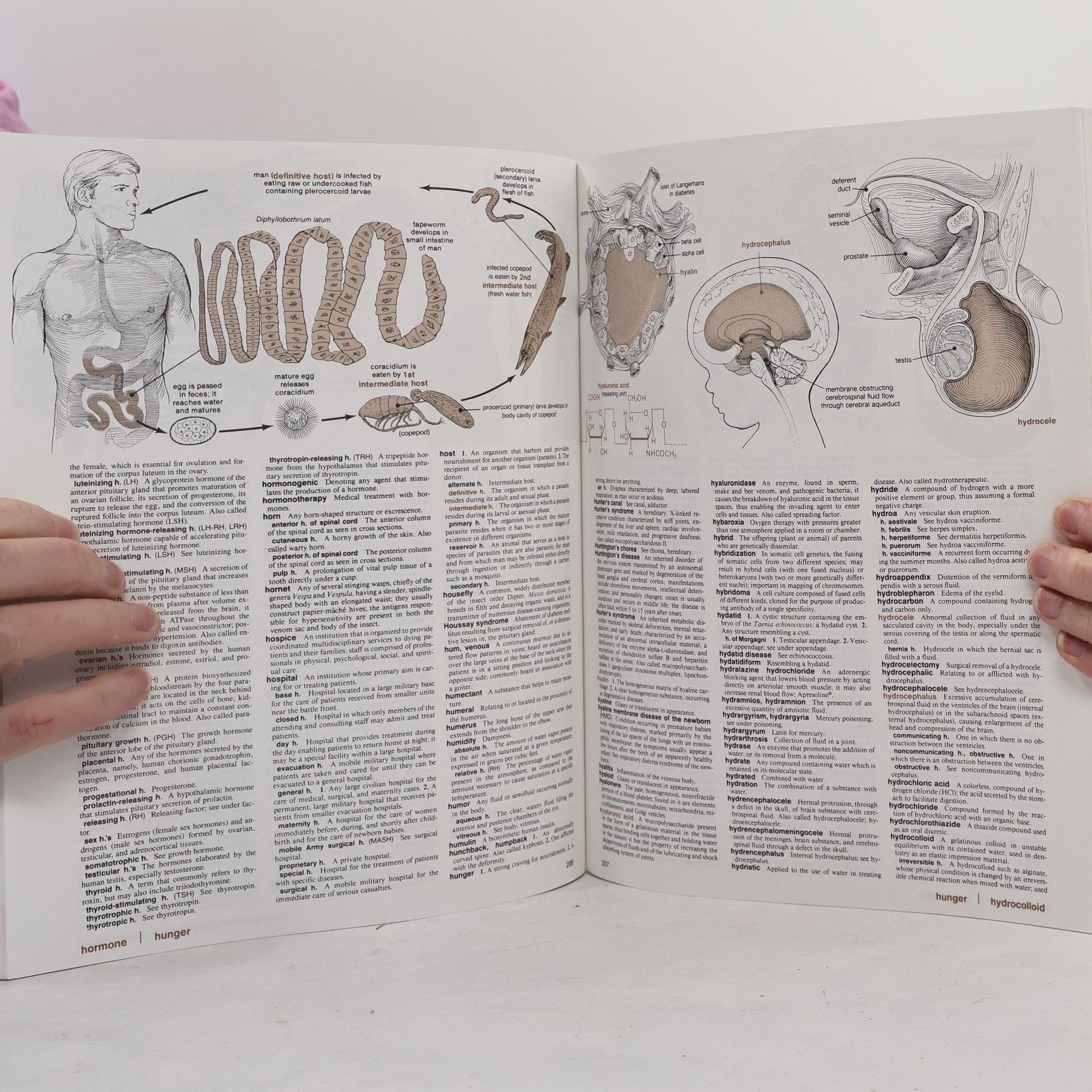 Ida G. Dox HarperCollins Illustrated Medical Dictionary