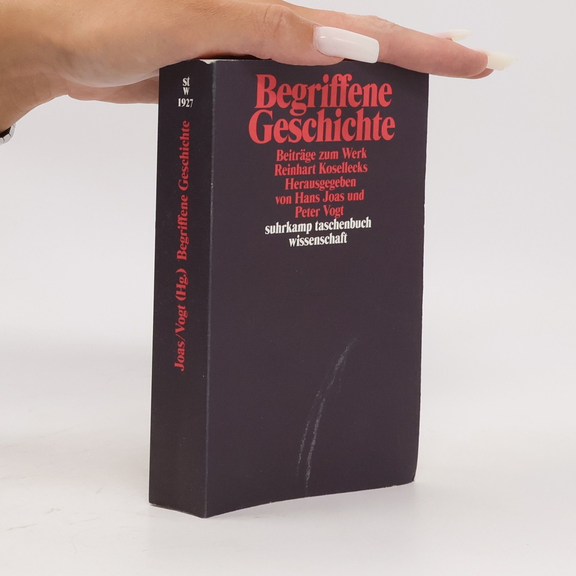 Begriffene Geschichte