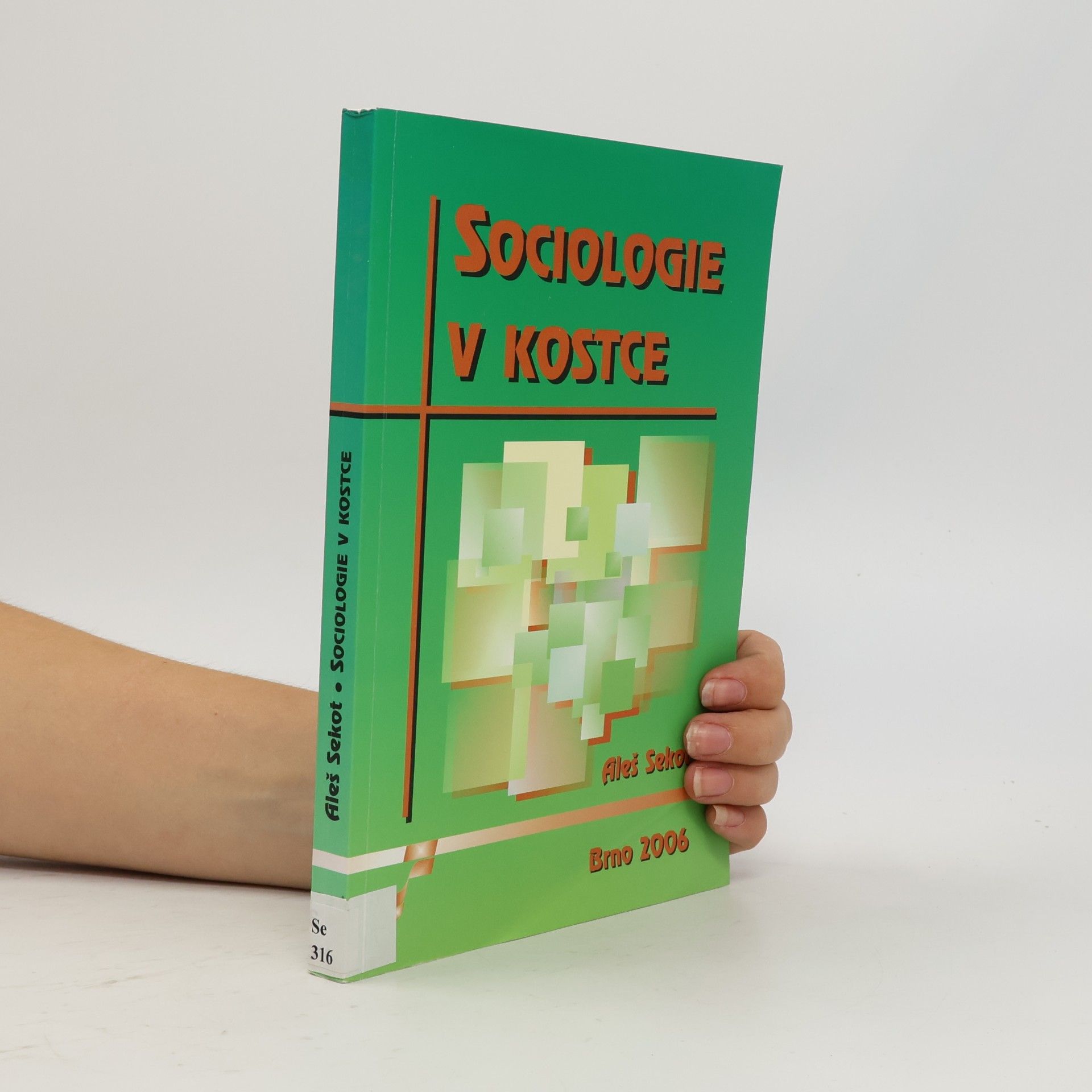 Sekot Aleš Sociologie v kostce