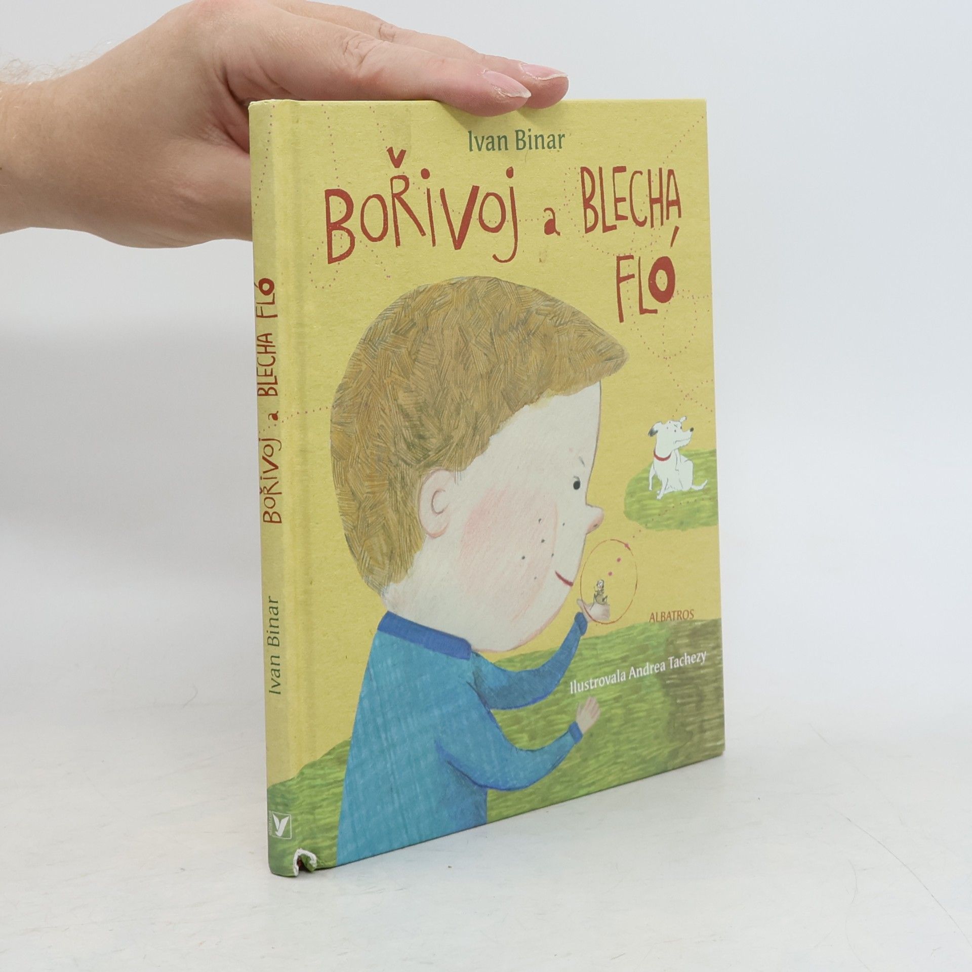 Bořivoj a Blecha Fló