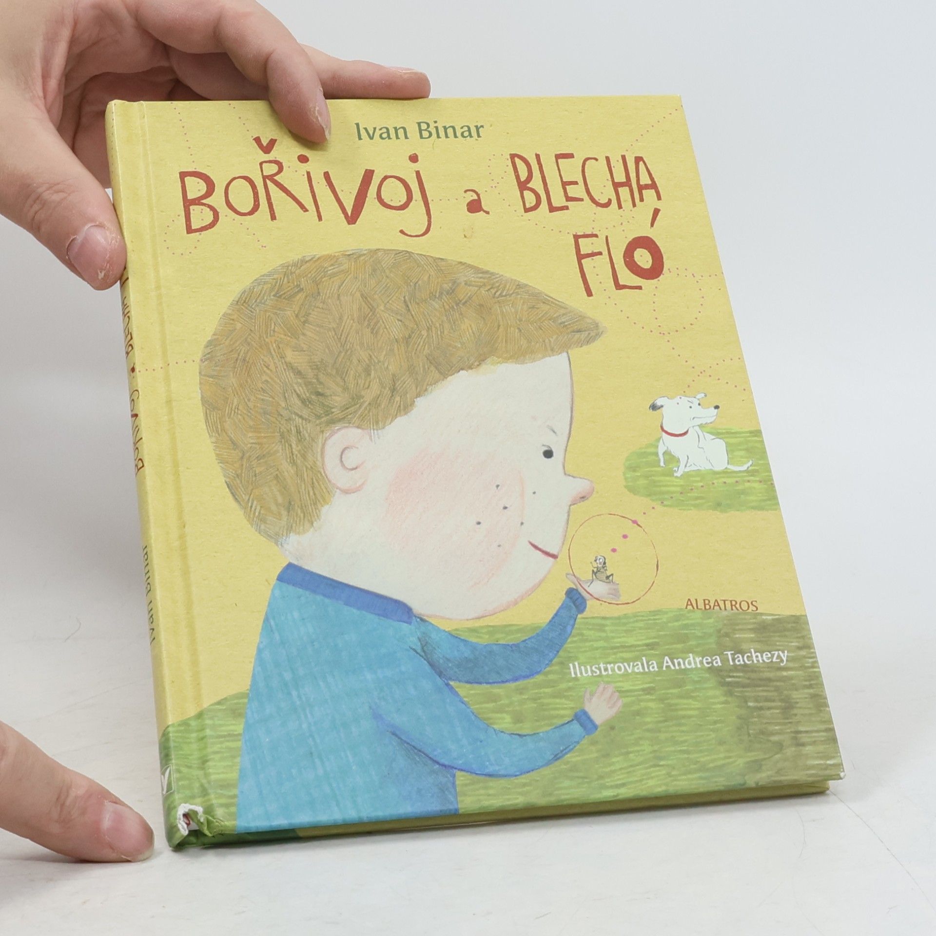 Ivan Binar Bořivoj a Blecha Fló