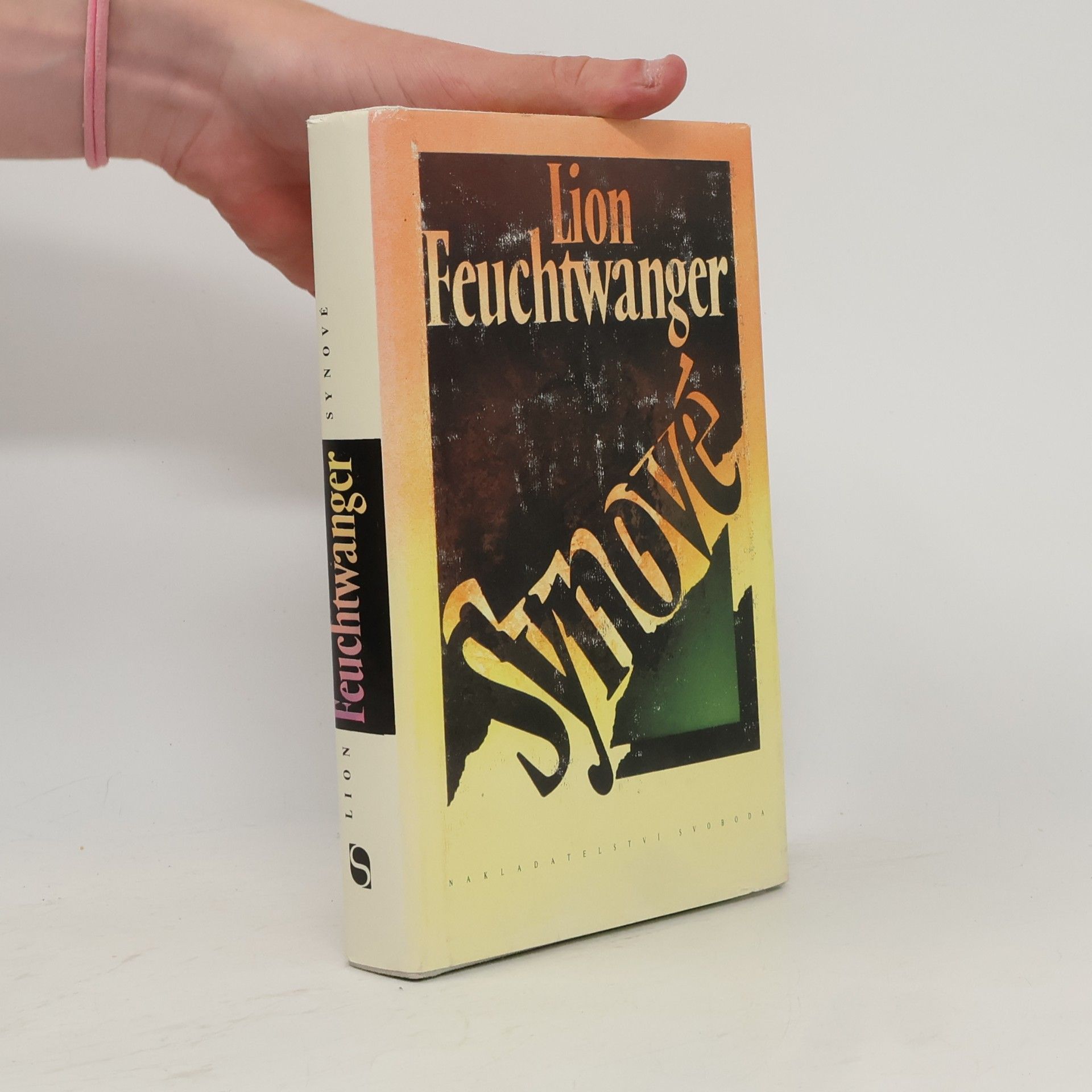 Lion Feuchtwanger Synové. 2. díl
