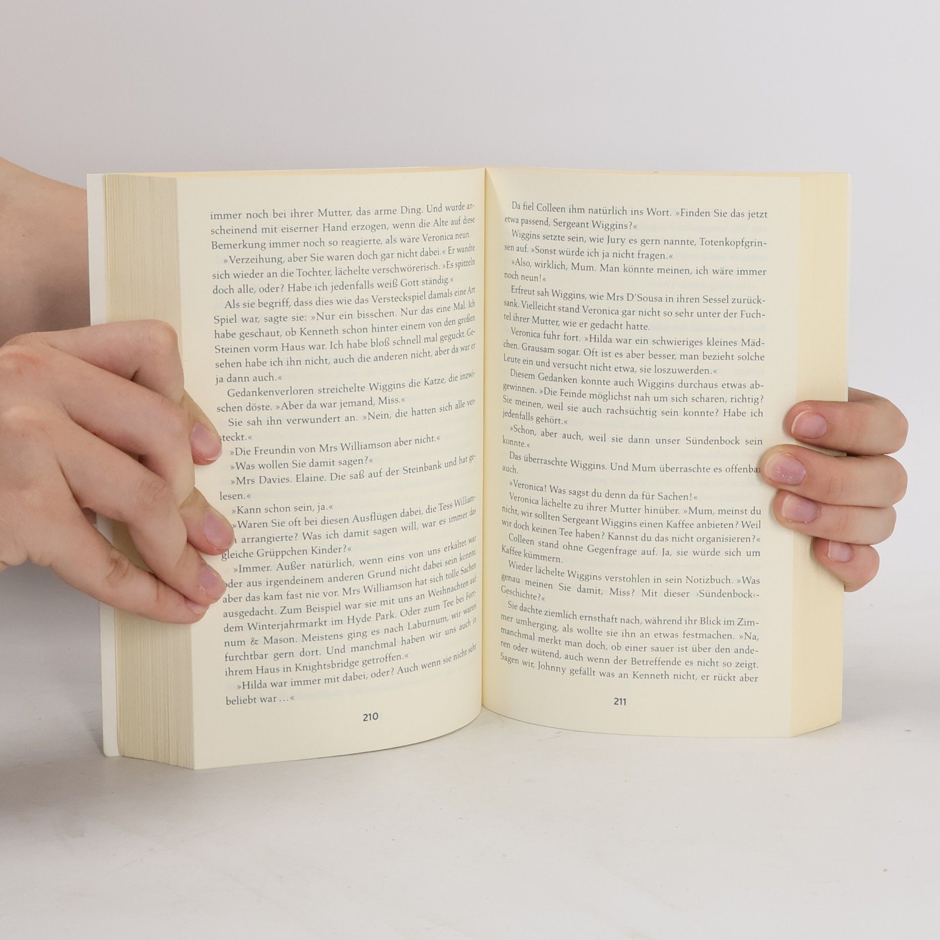 Martha Grimes Inspektor Jury und die Frau in Rot