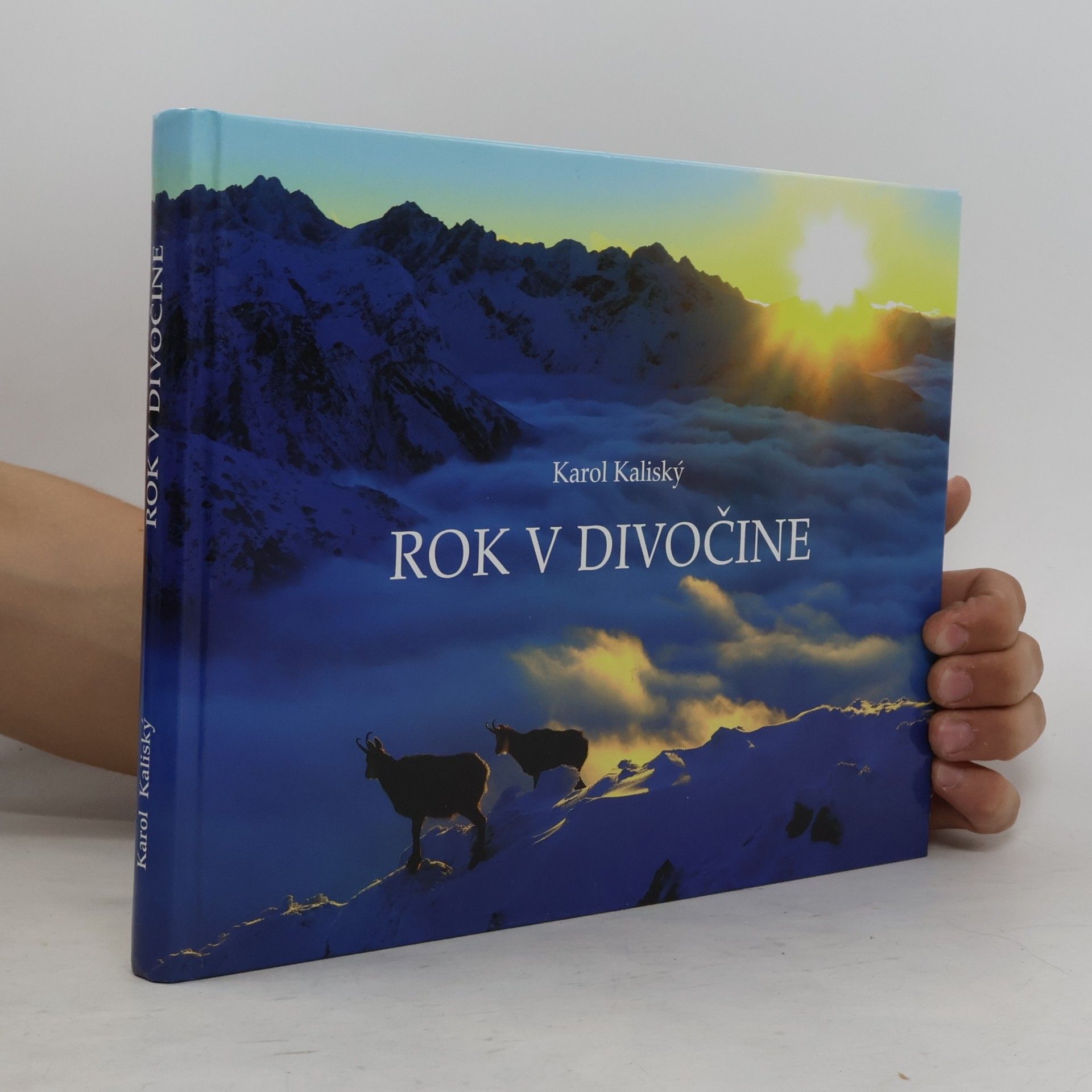 Karol Kaliský Rok v divočine