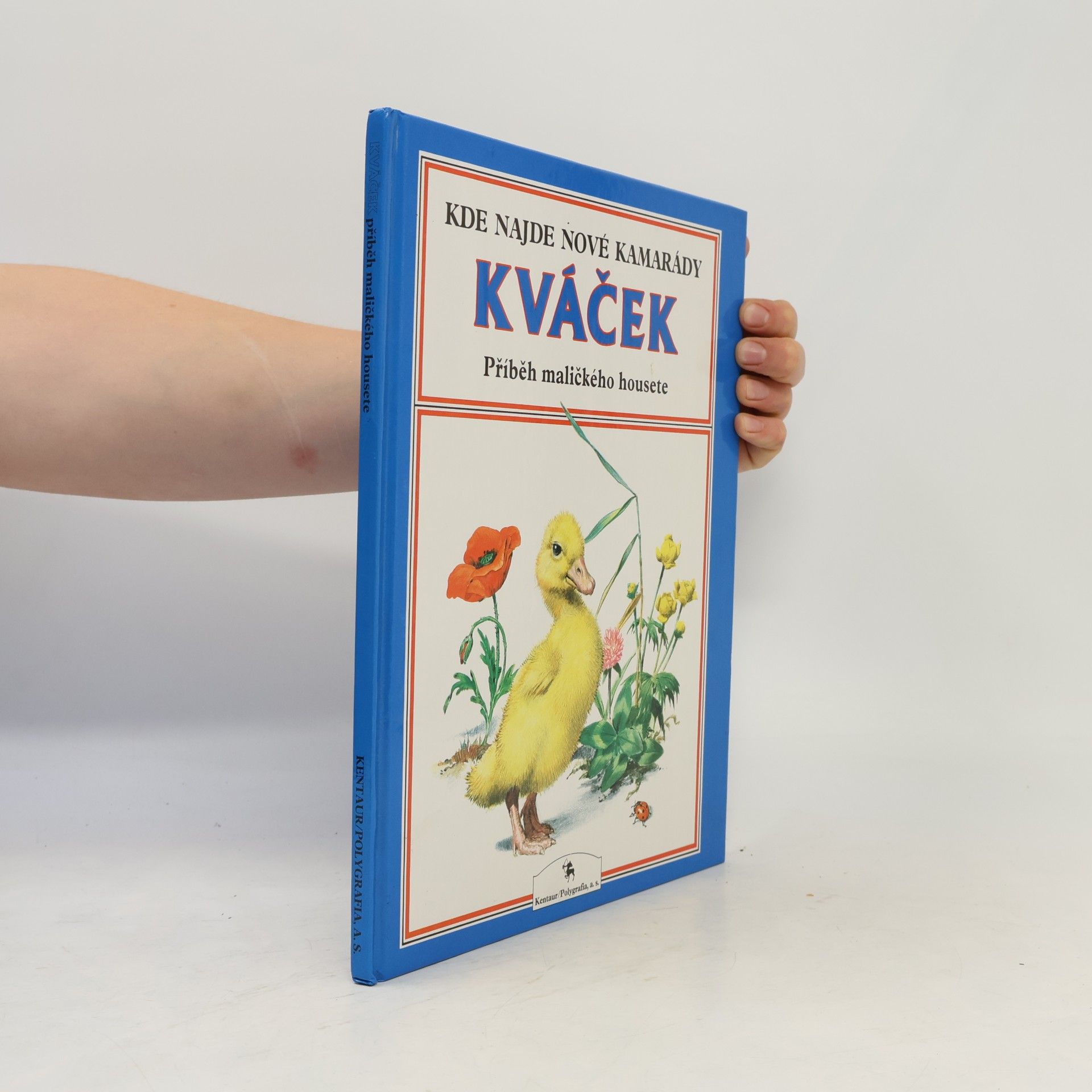 Peter Holeinone Kváček : příběh maličkého housete