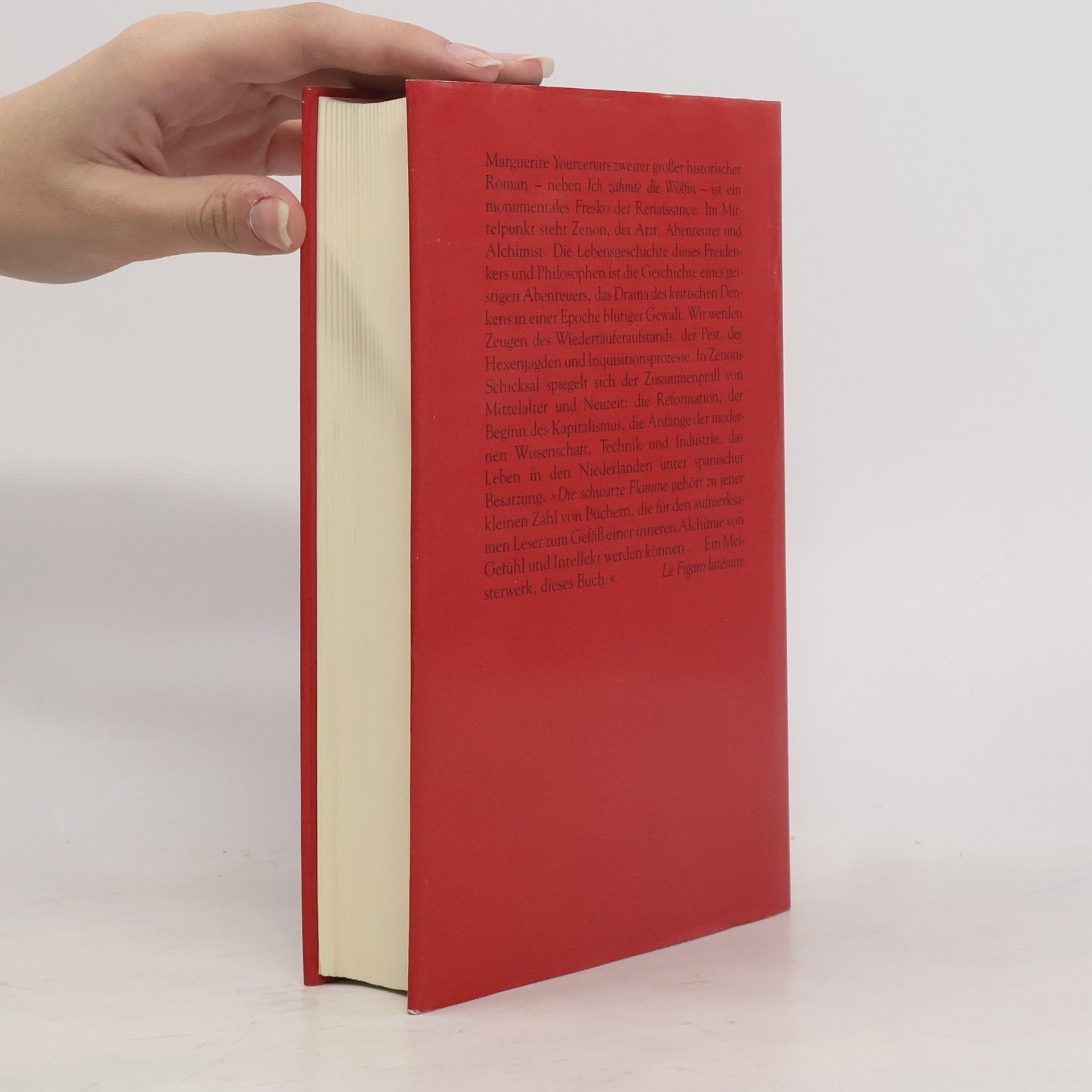 Marguerite Yourcenar Die schwarze Flamme