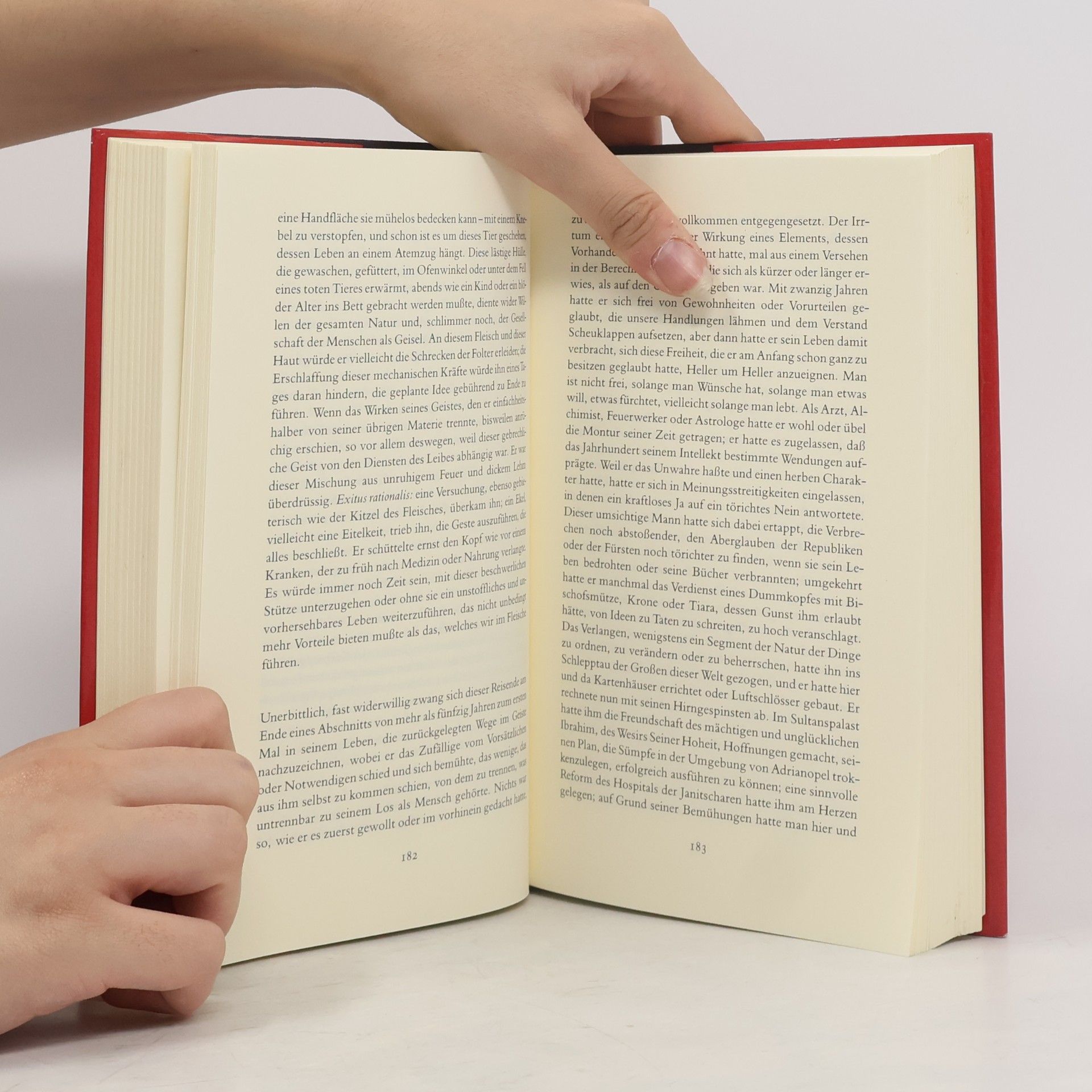 Marguerite Yourcenar Die schwarze Flamme