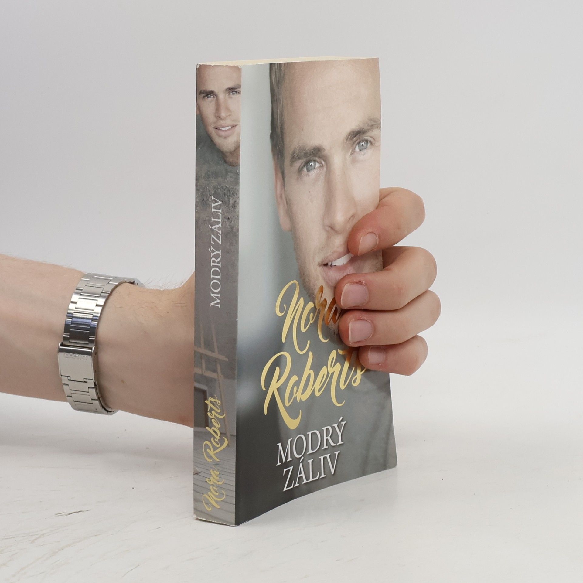 Nora Roberts Modrý záliv