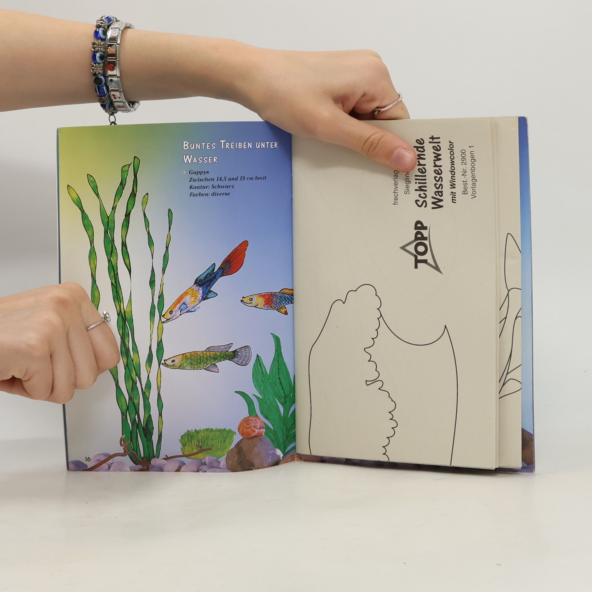 Sieglinde Holl Schillernde Wasserwelt