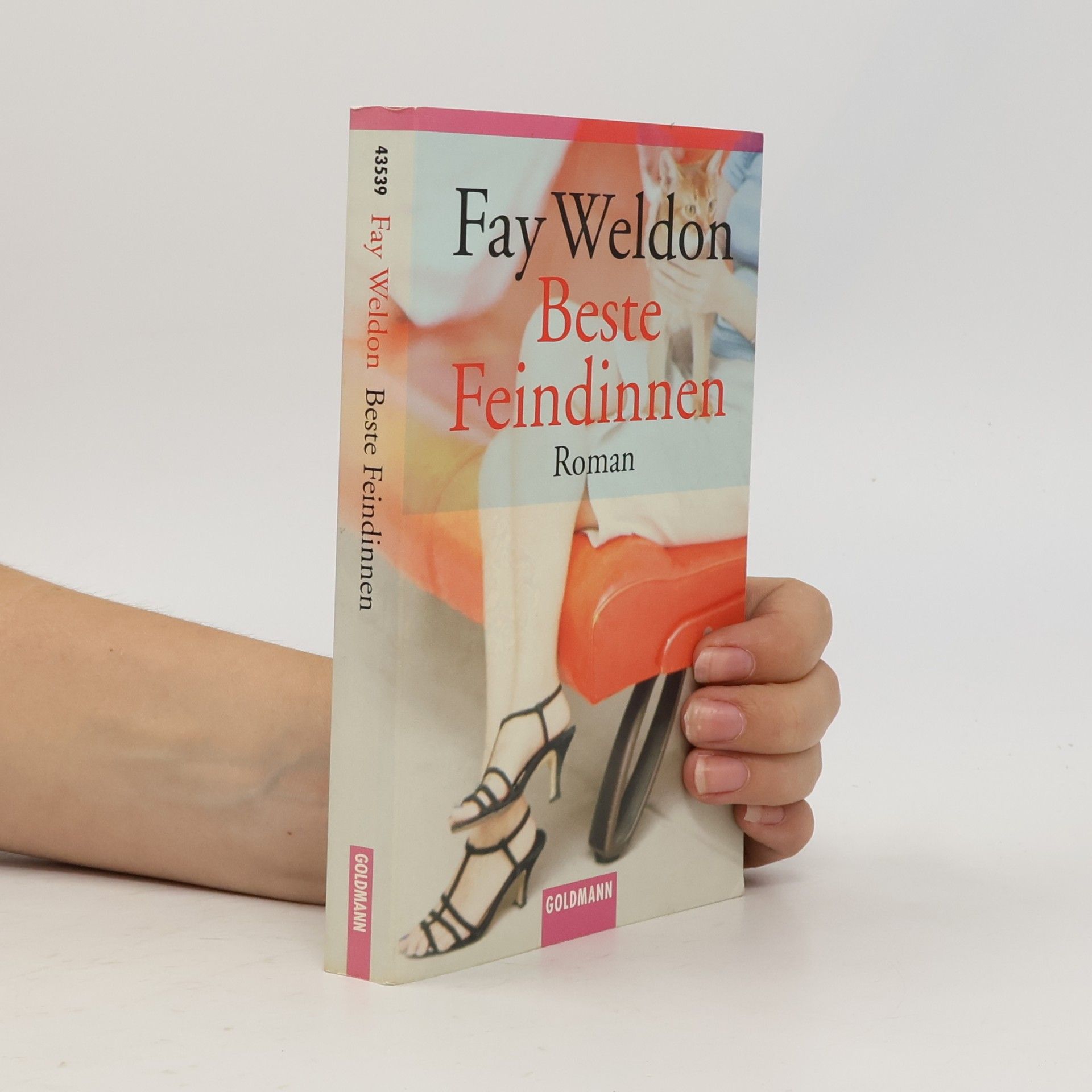 Fay Weldon Beste Feindinnen