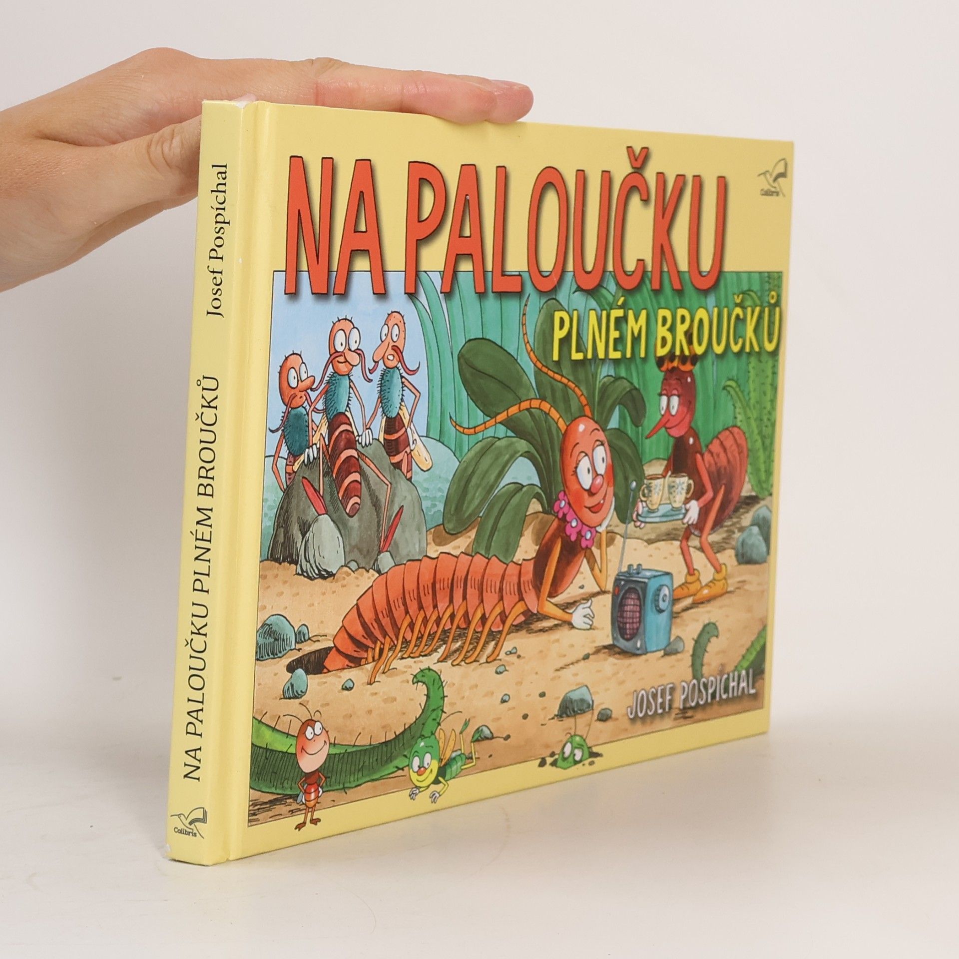 Radek Adamec Na paloučku plném broučků