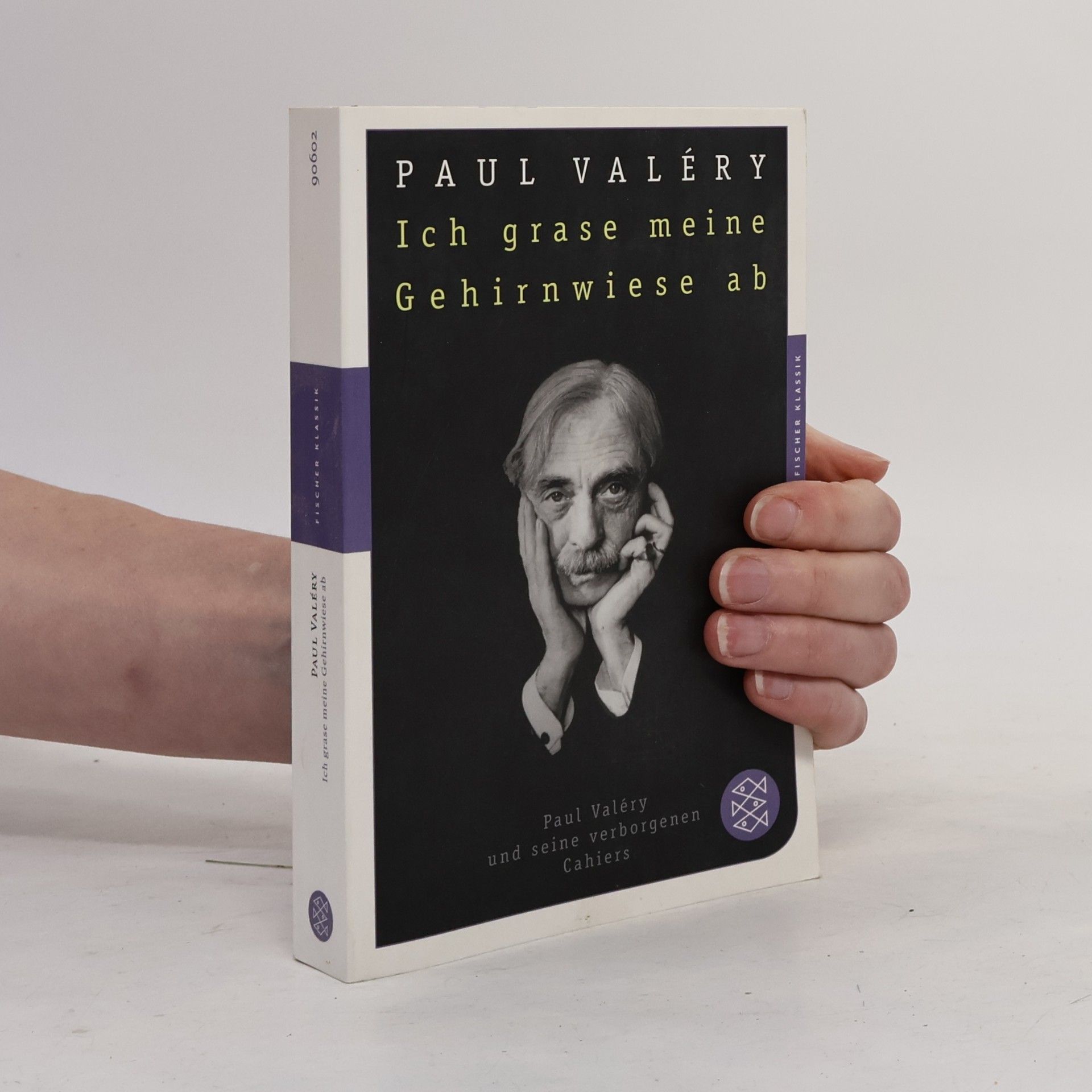 Paul Valéry Ich grase meine Gehirnwiese ab
