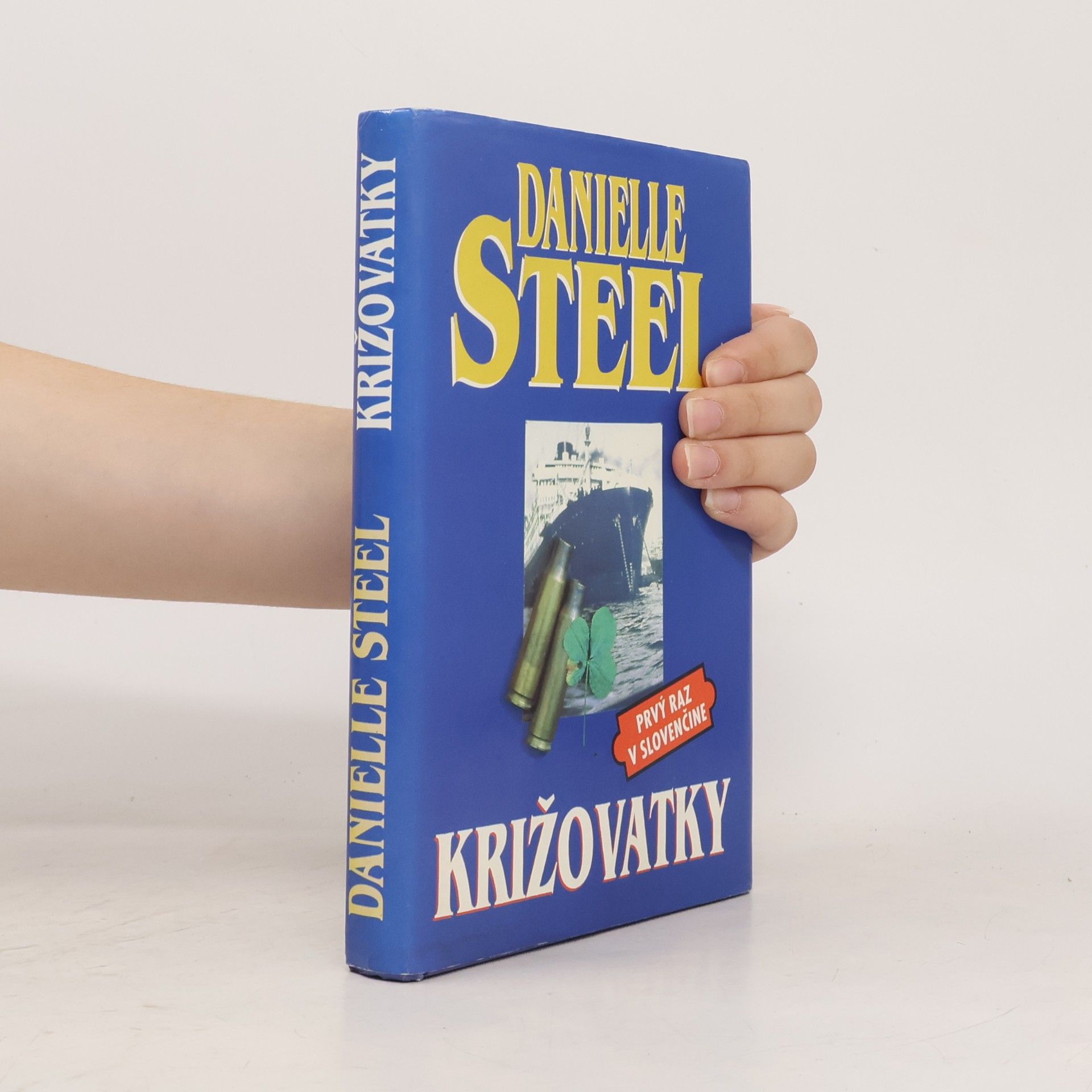 Danielle Steel Križovatky