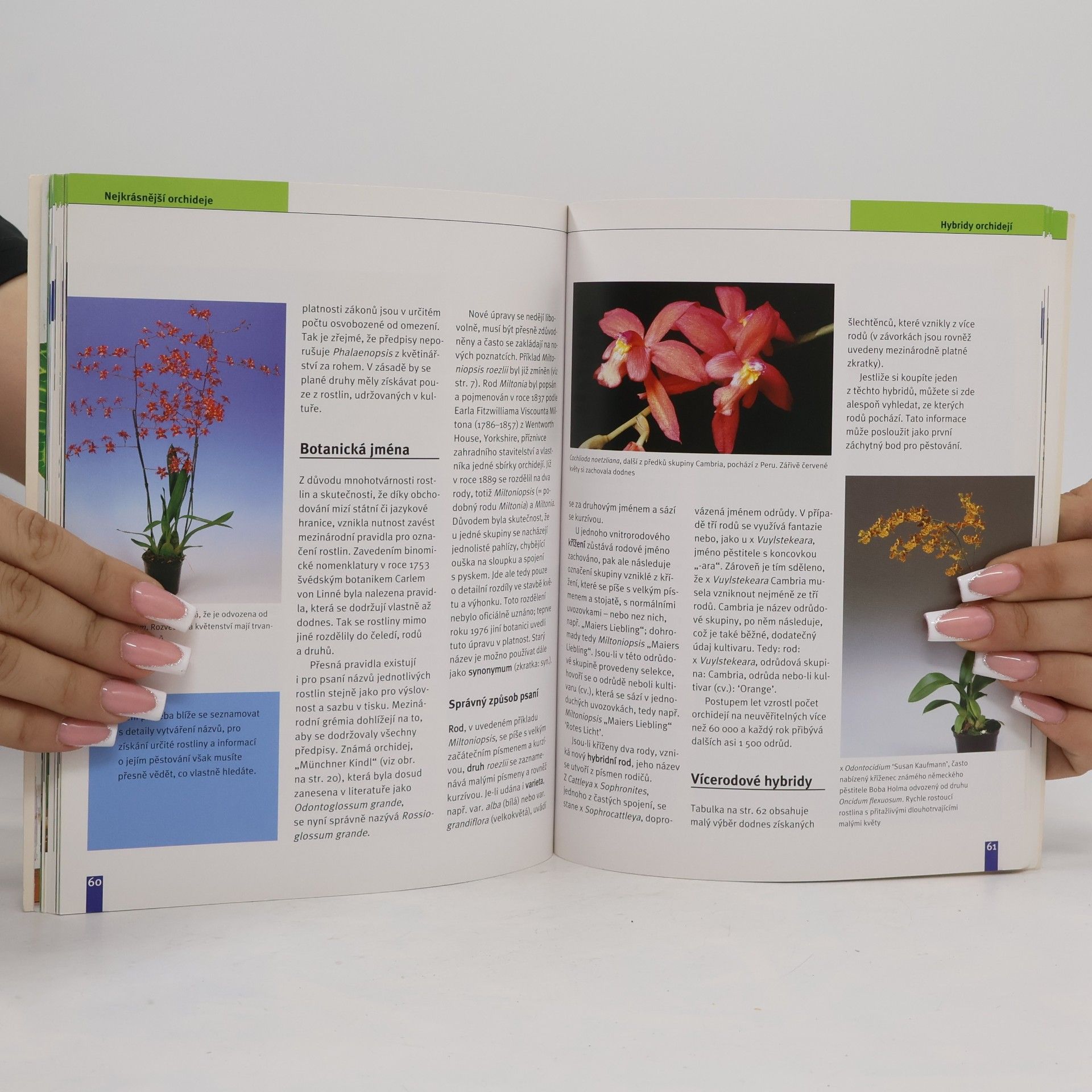 Jörn Pinske Orchideje. Nejkrásnější druhy a hybridy. Výběr, pěstování