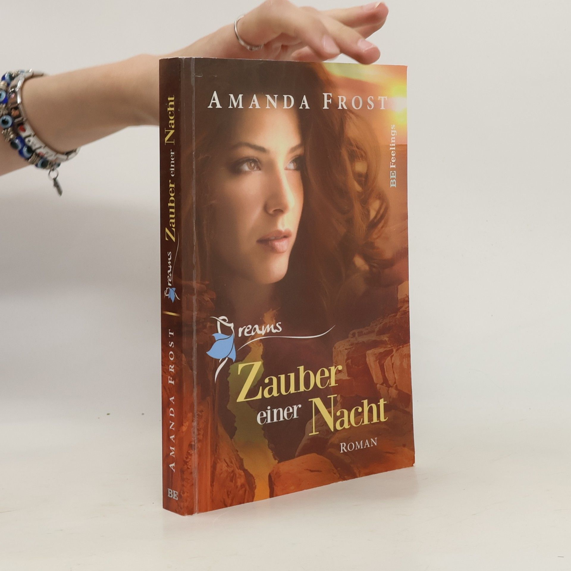 Amanda Frost Dreams - Zauber einer Nacht