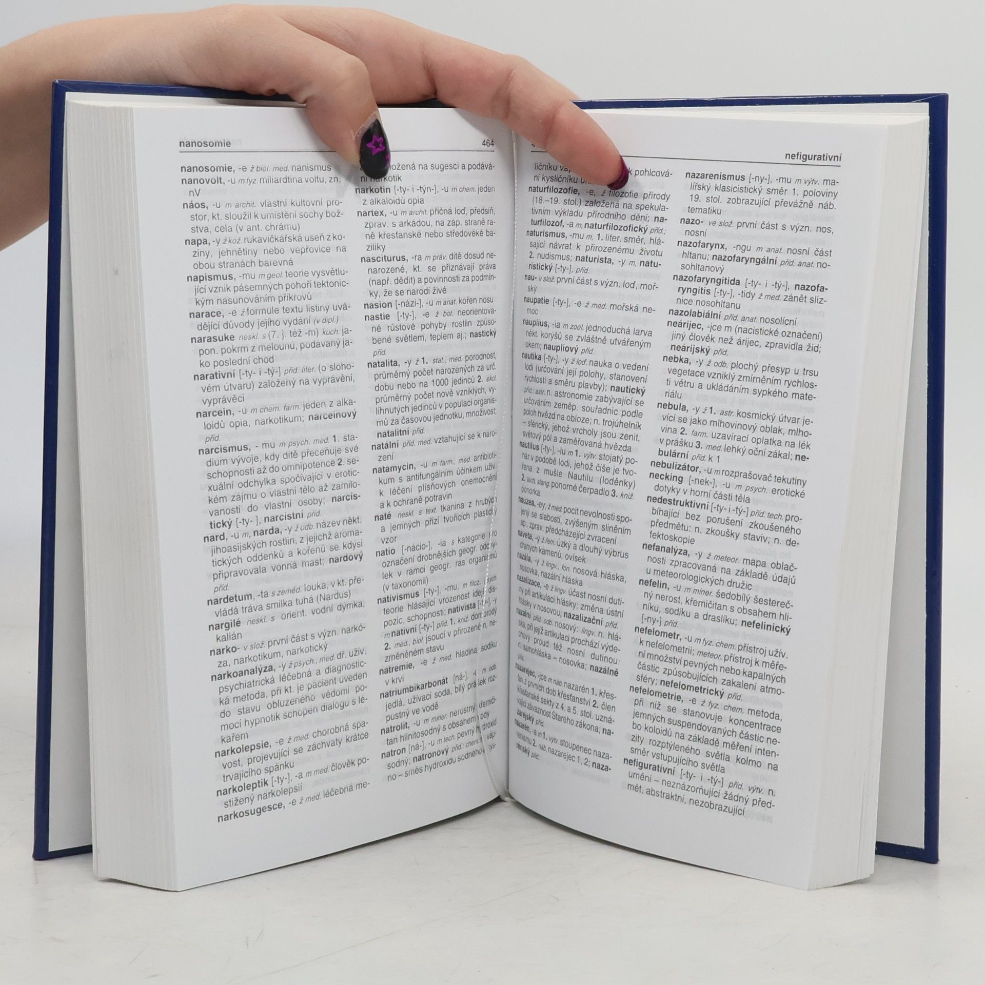 Autorenkollektiv Slovník cizích slov