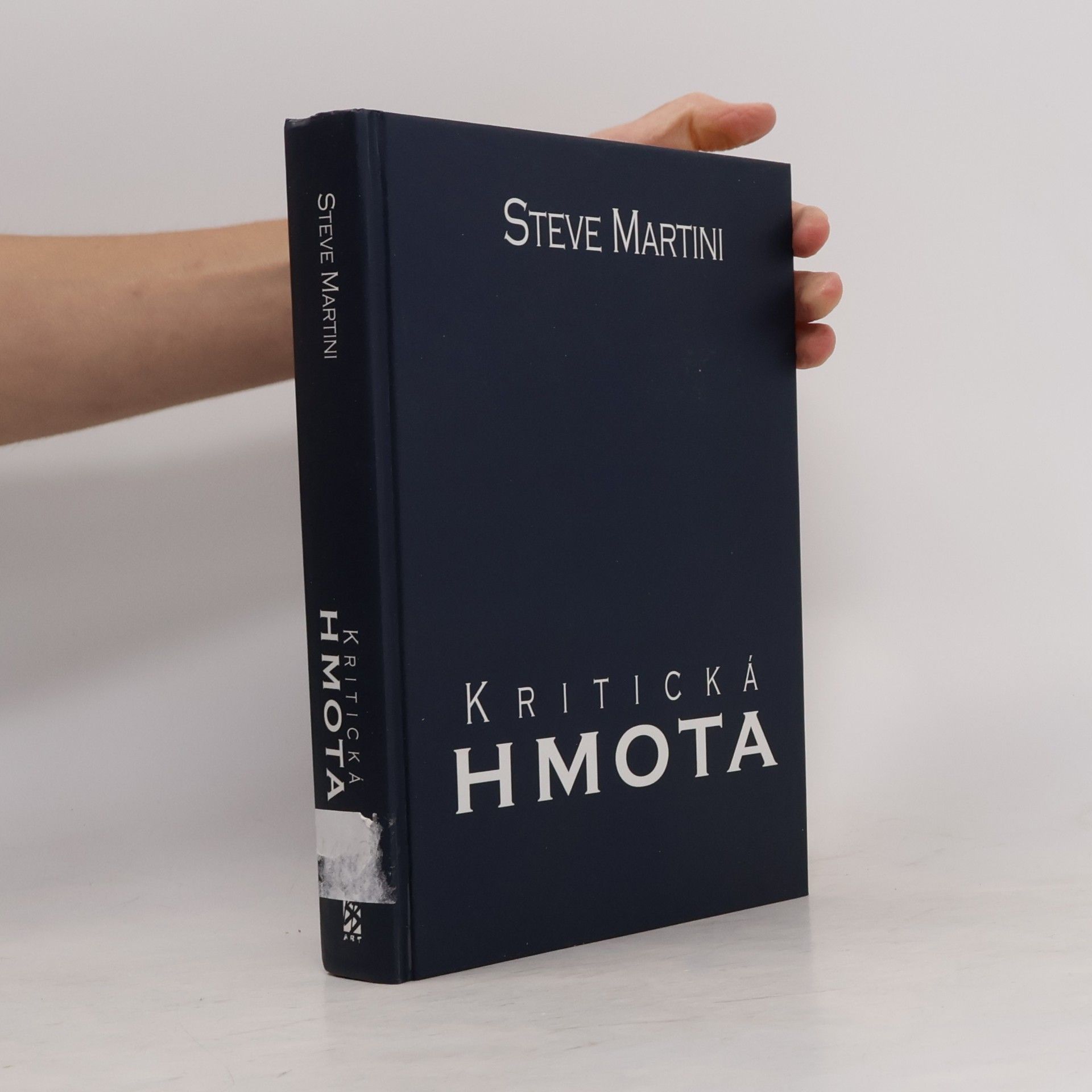 Steve Martini Kritická hmota