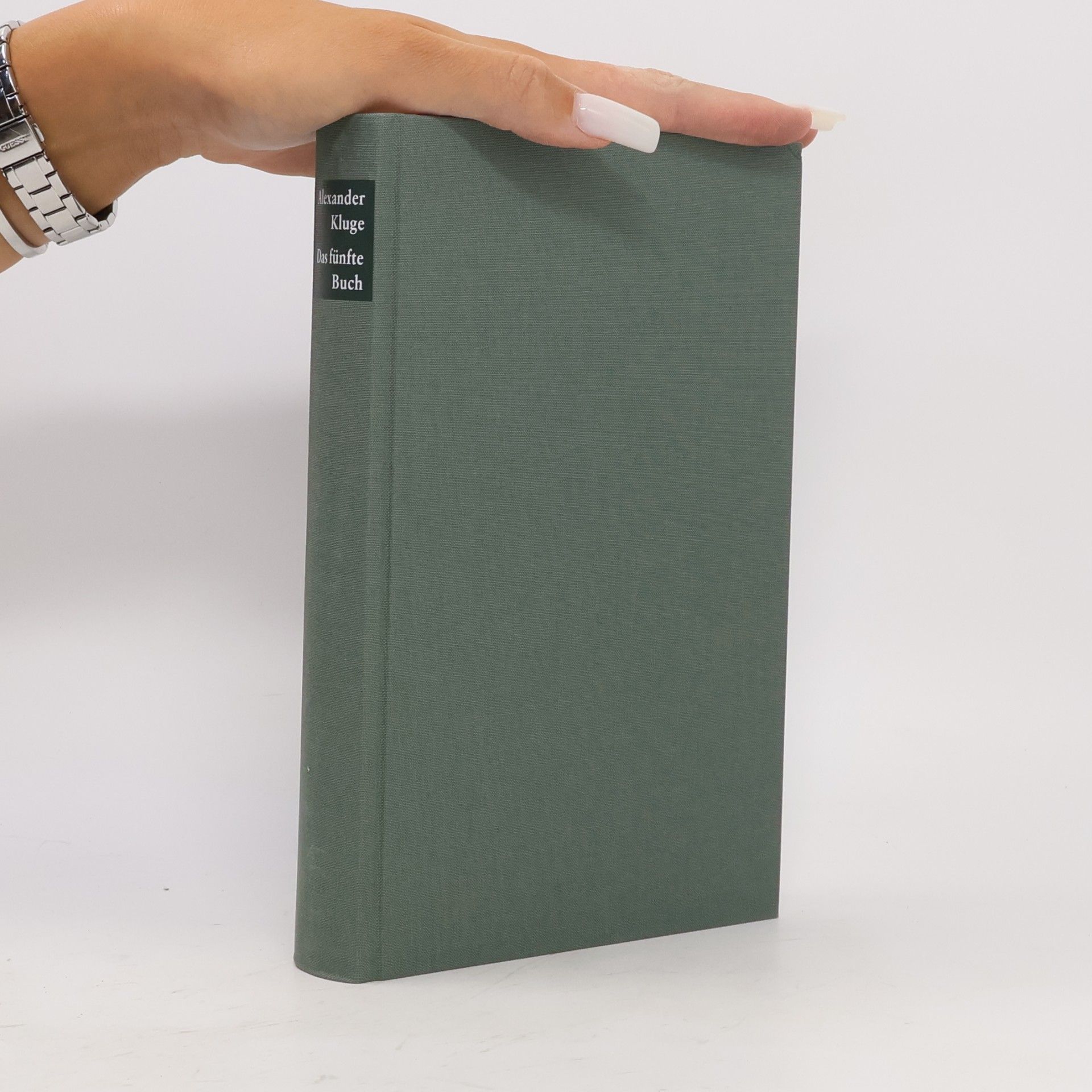 Alexander Kluge Das fünfte Buch - neue Lebensläufe