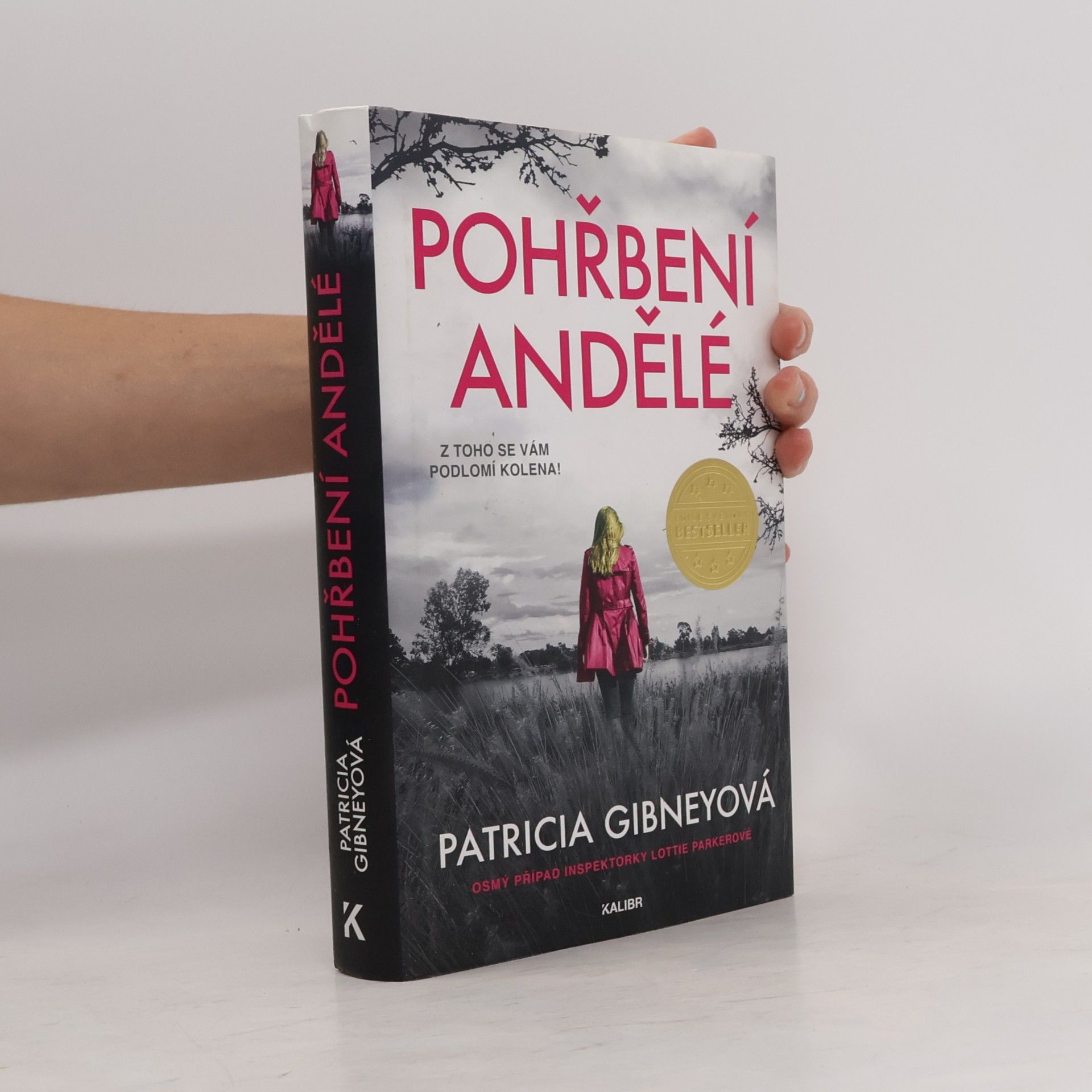 Patricia Gibney Pohřbení andělé