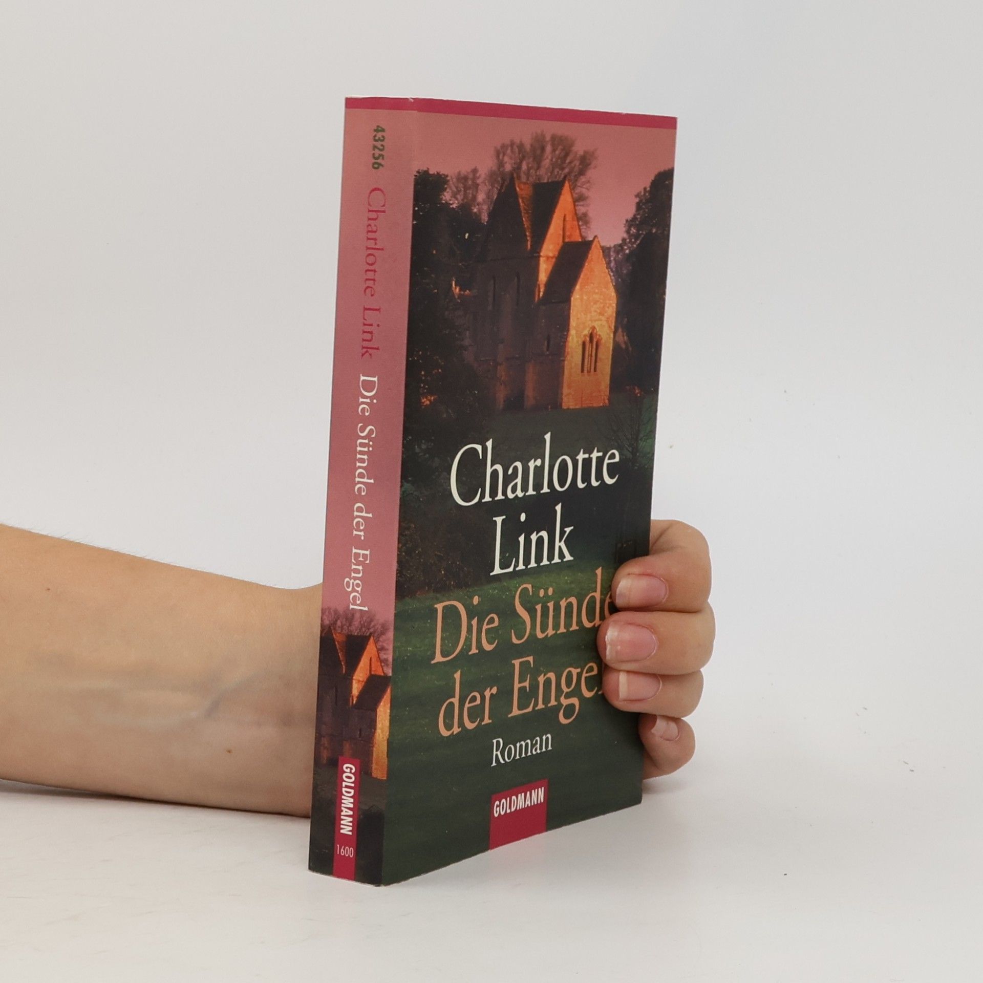Charlotte Link Die Sünde der Engel