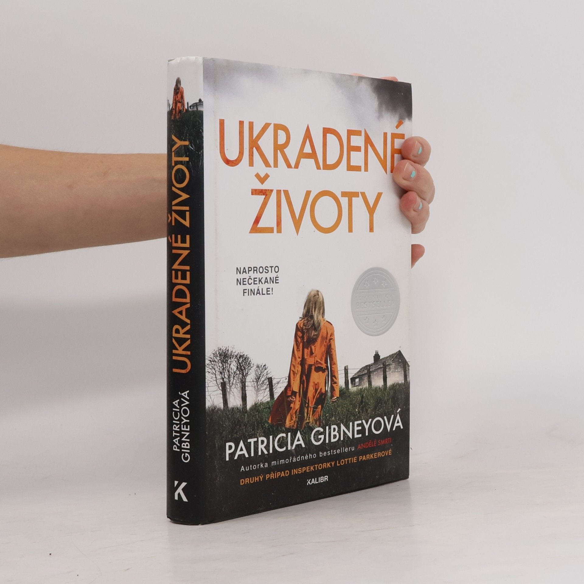Patricia Gibney Ukradené životy