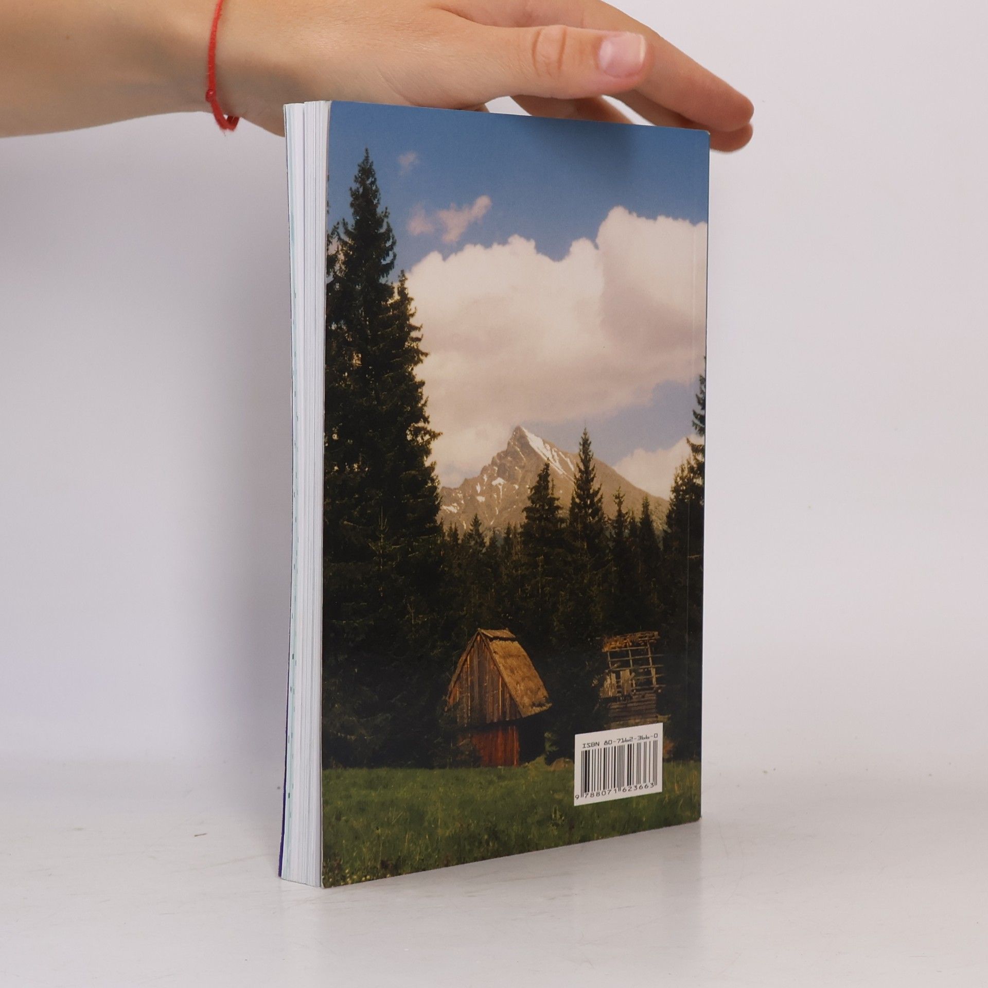 Collectif d'auteurs Pútnik svätovojtešský. Kalendár na rok 2002