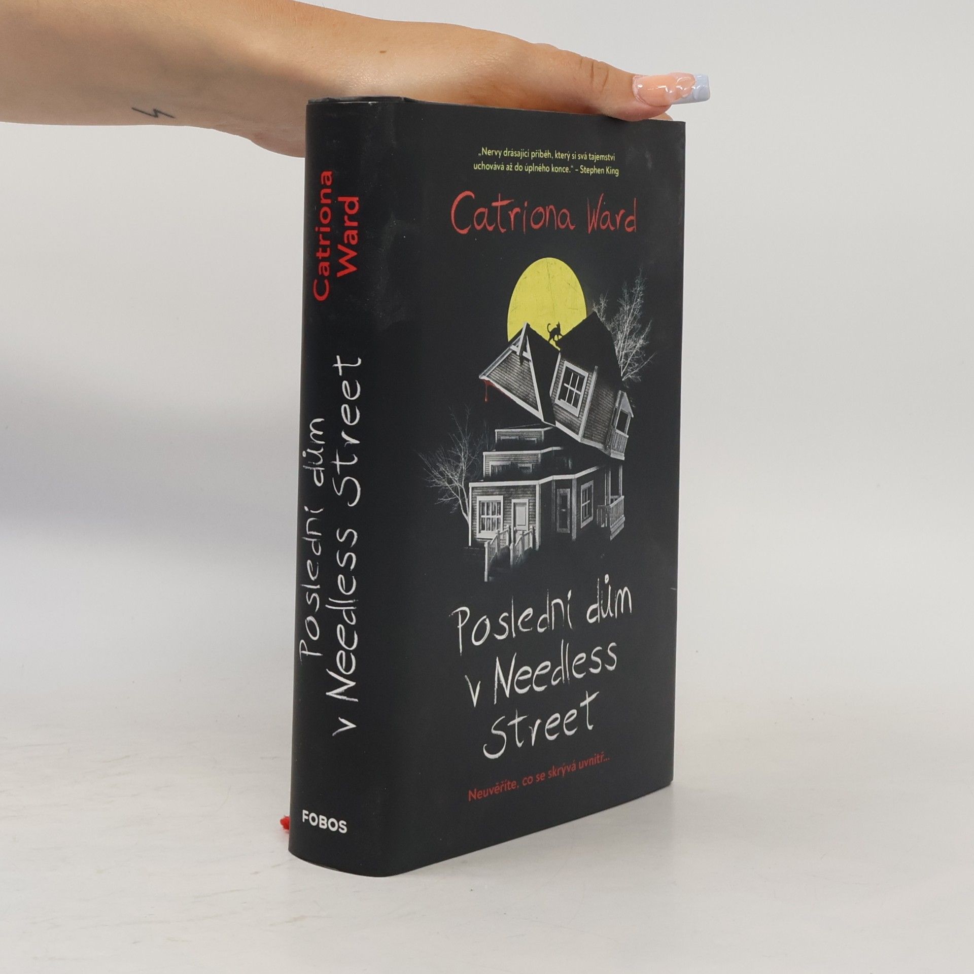 Catriona Ward Poslední dům v Needless Street