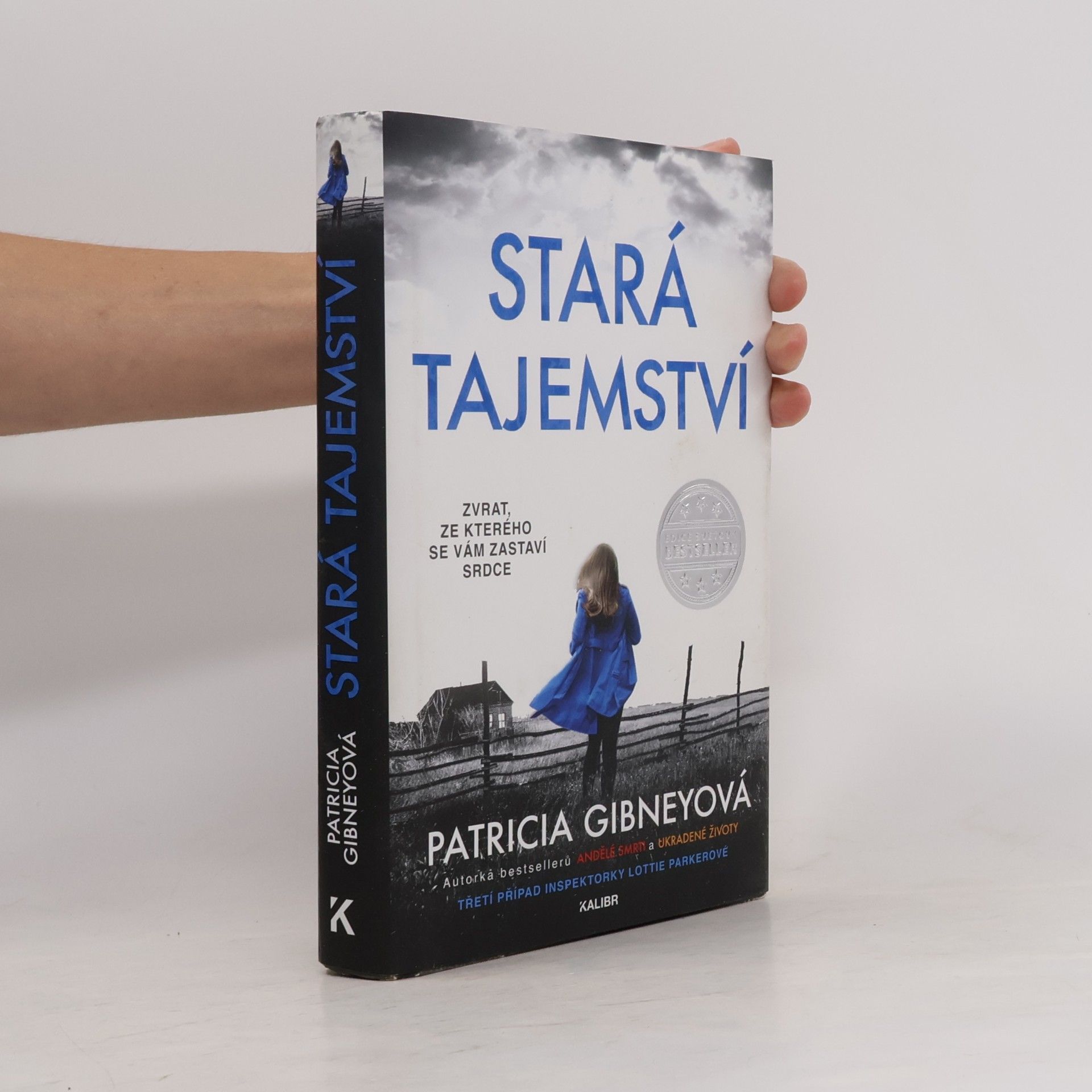 Patricia Gibney Stará tajemství