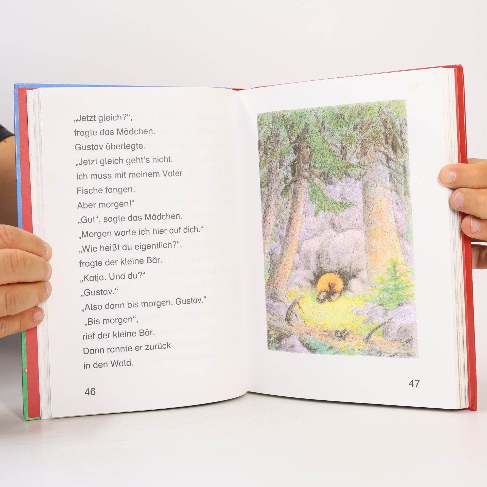 Autorenkollektiv Die schönsten Geschichten für Erstleser