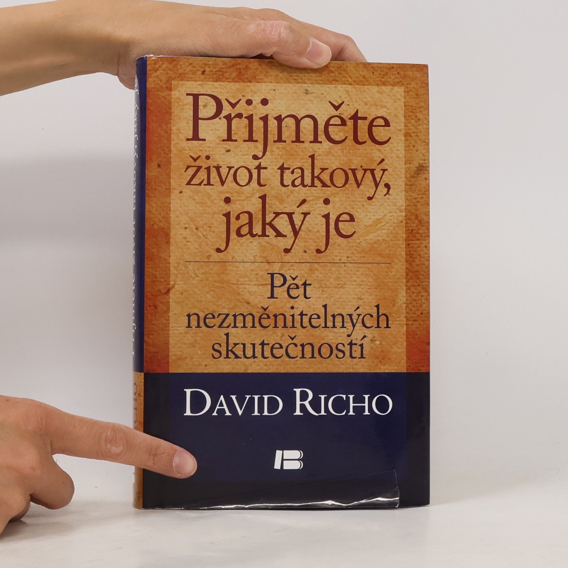 David Richo Přijměte život takový, jaký je