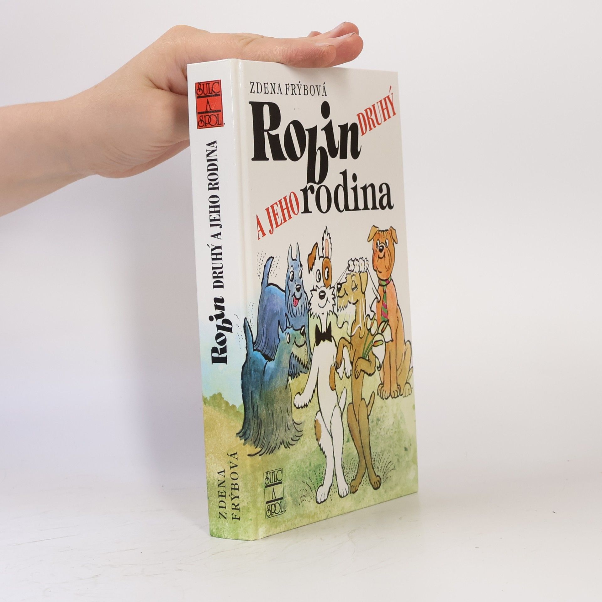 Zdena Frýbová Robin Druhý a jeho rodina