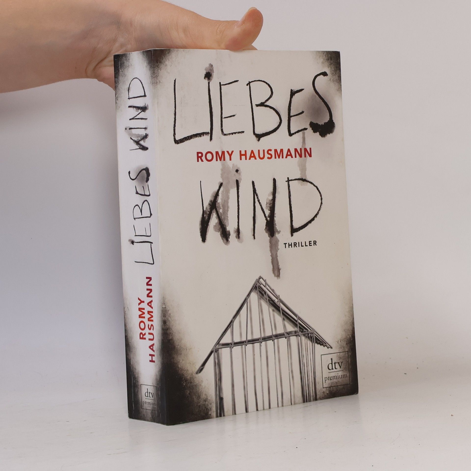 Romy Hausmann Liebes Kind