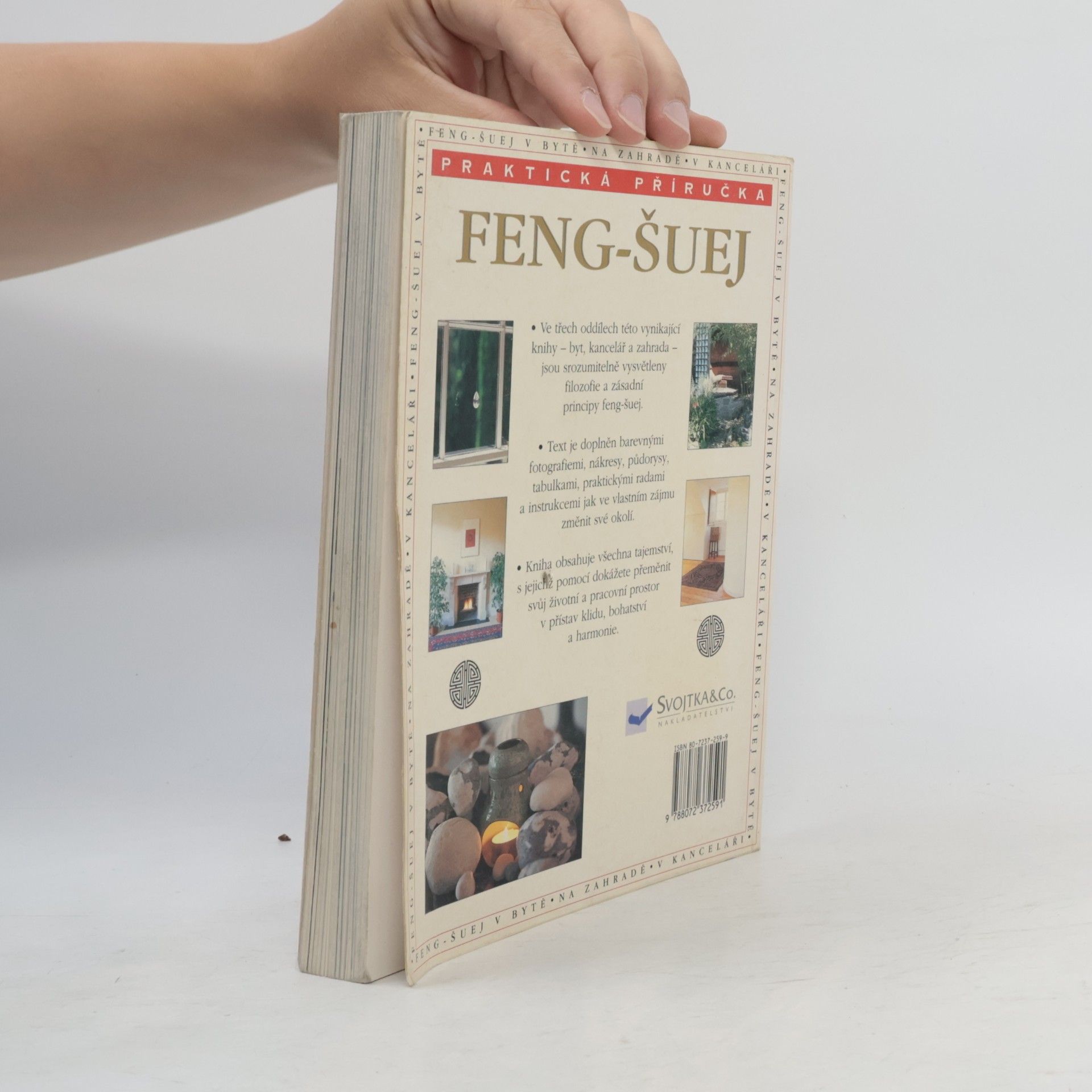 Gill Hale Feng-šuej